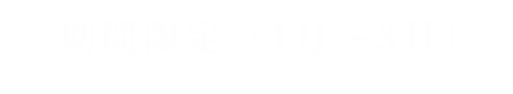【期間限定1~3月】ホエールウォッチング＆ホエールスイム