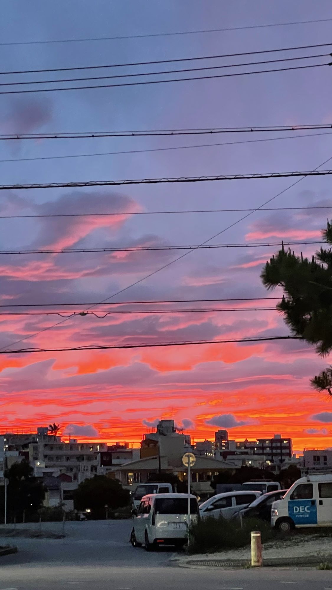 昨日の夕焼け🌇
