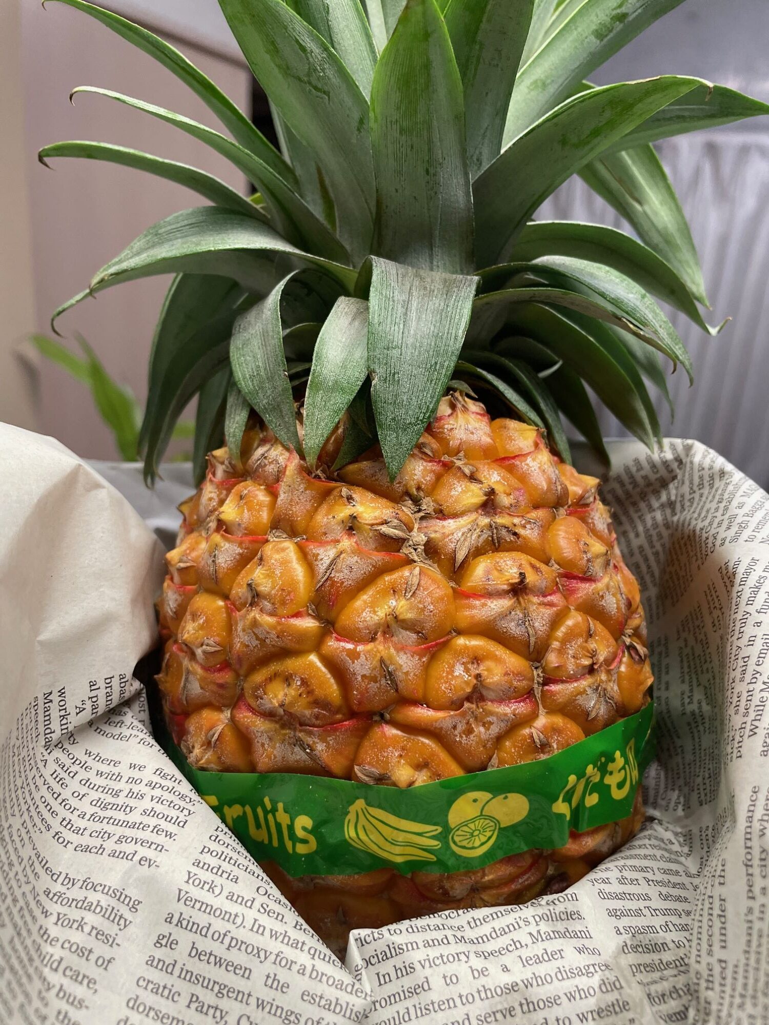 パイナップルの美味しい季節🍍