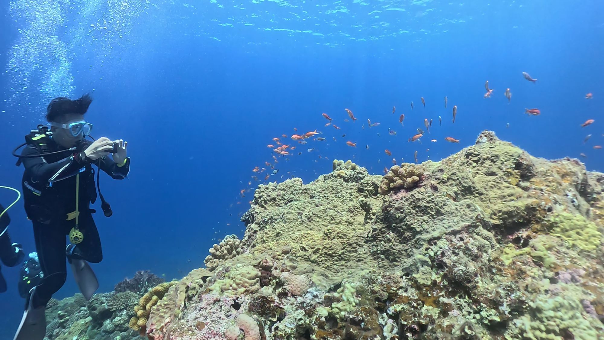 8月1日　慶良間諸島8月スタート！