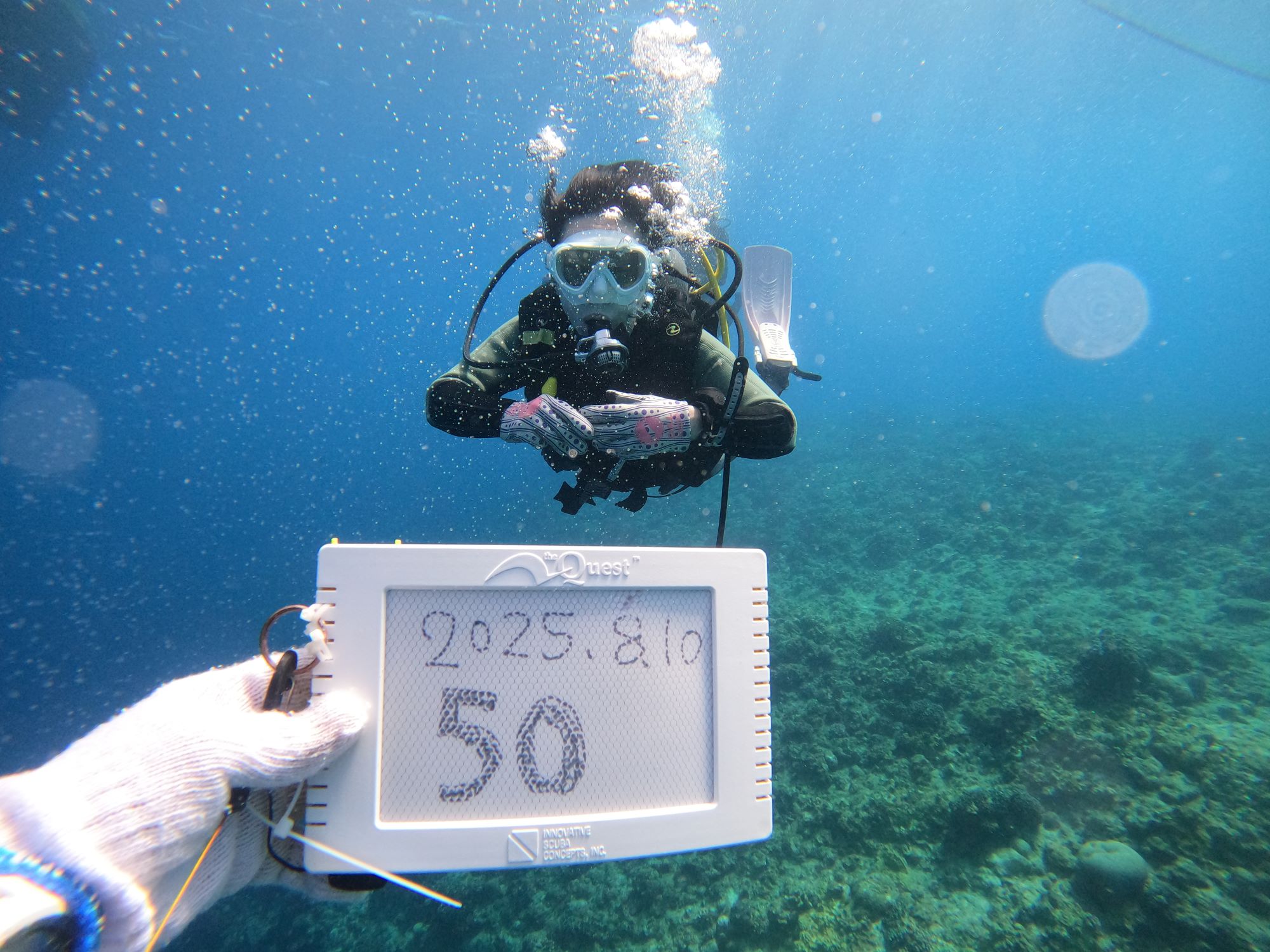 2025年8月10日慶良間諸島日帰りダイビングツアー