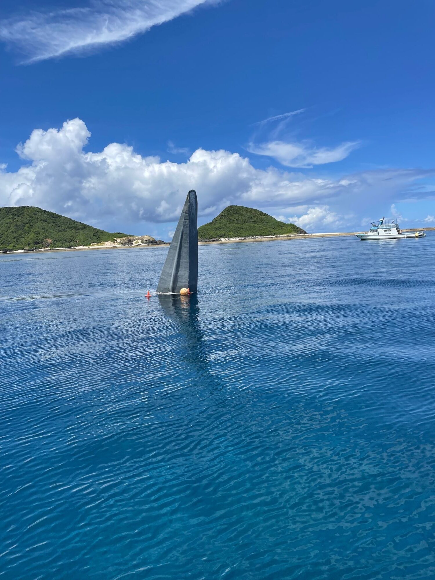 漂流物👀