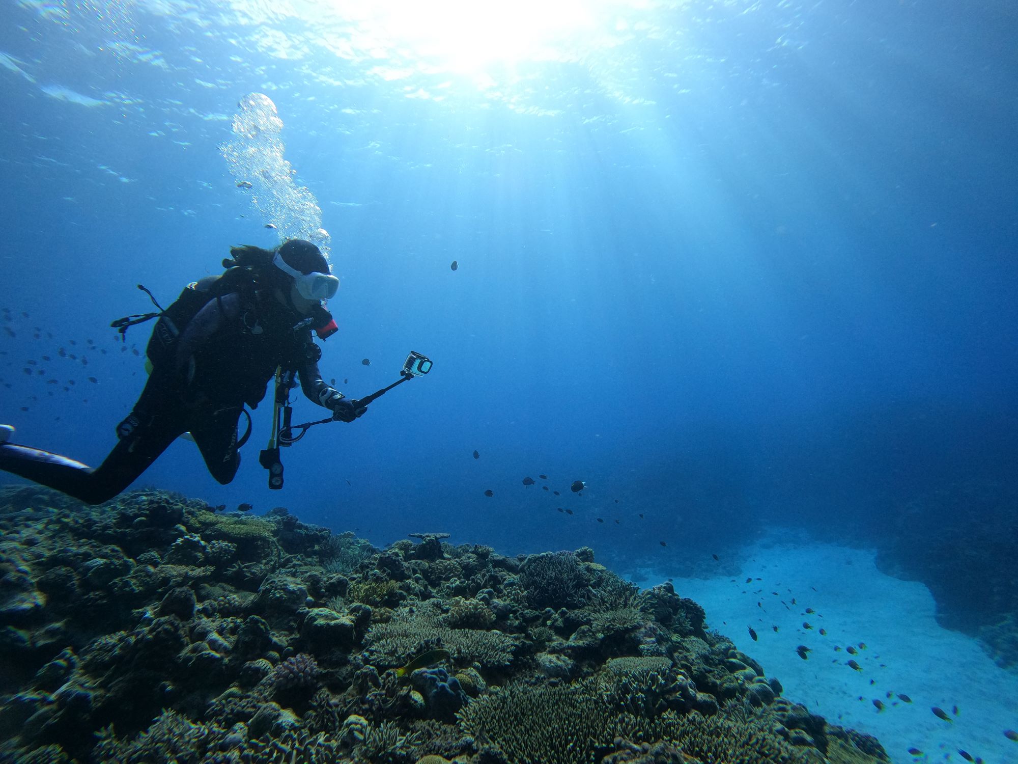 【大人気オプション】手ぶらで水中動画！GoProレンタルサービス（SDカード持参でお得♪）