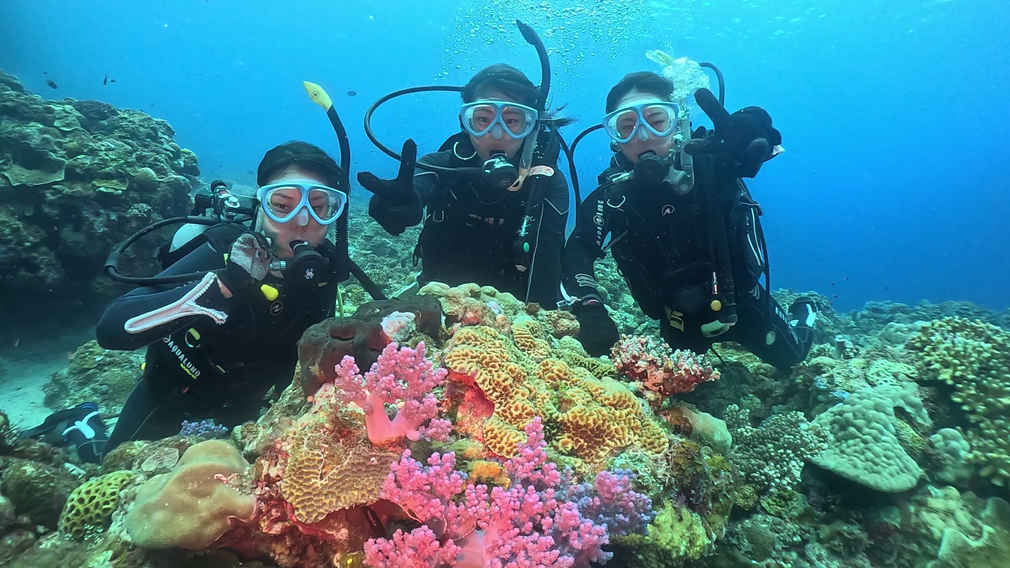 2025年9月19日　ダイビング最終日！