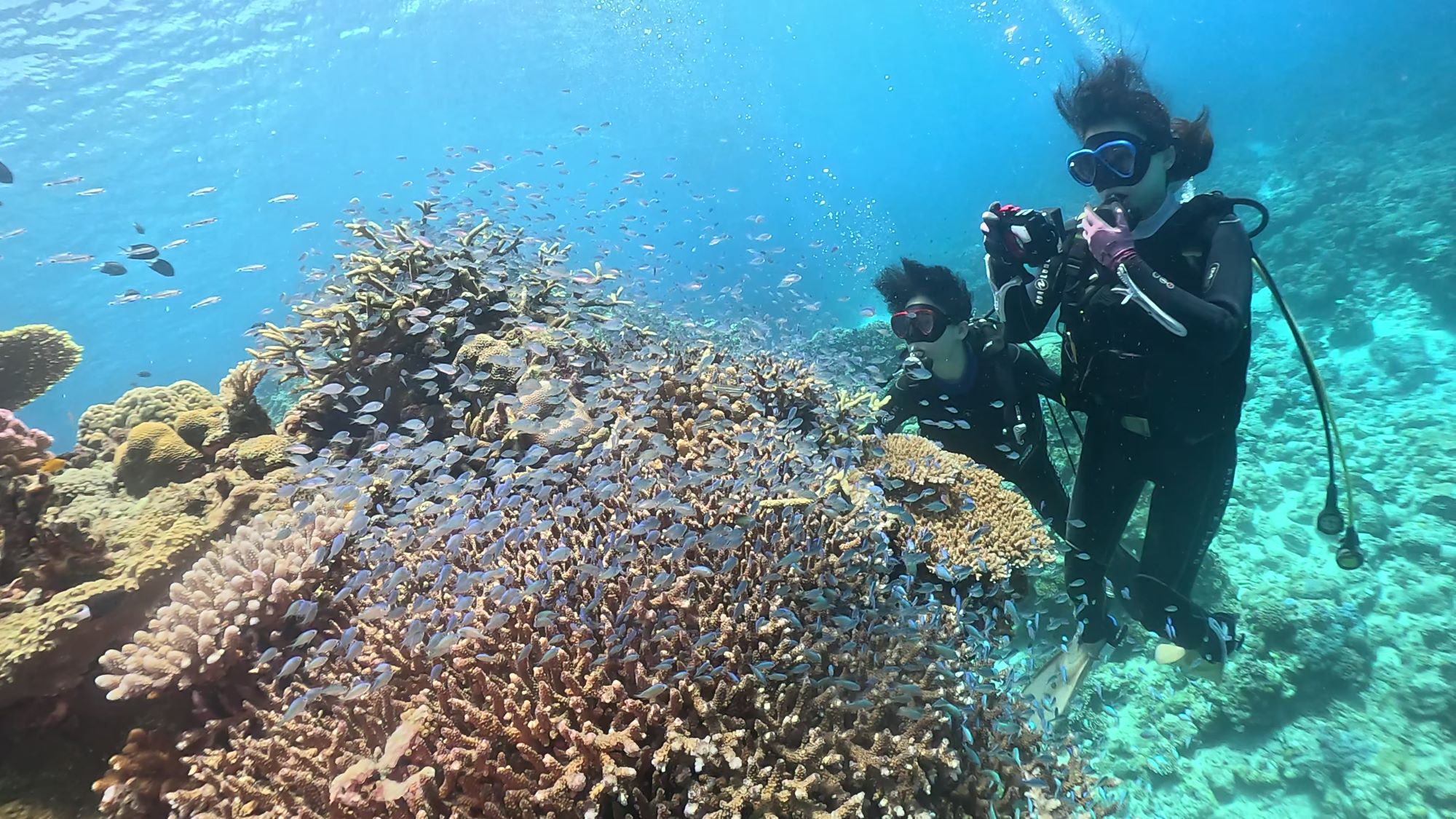 2025年9月26日　一日便＆PM便