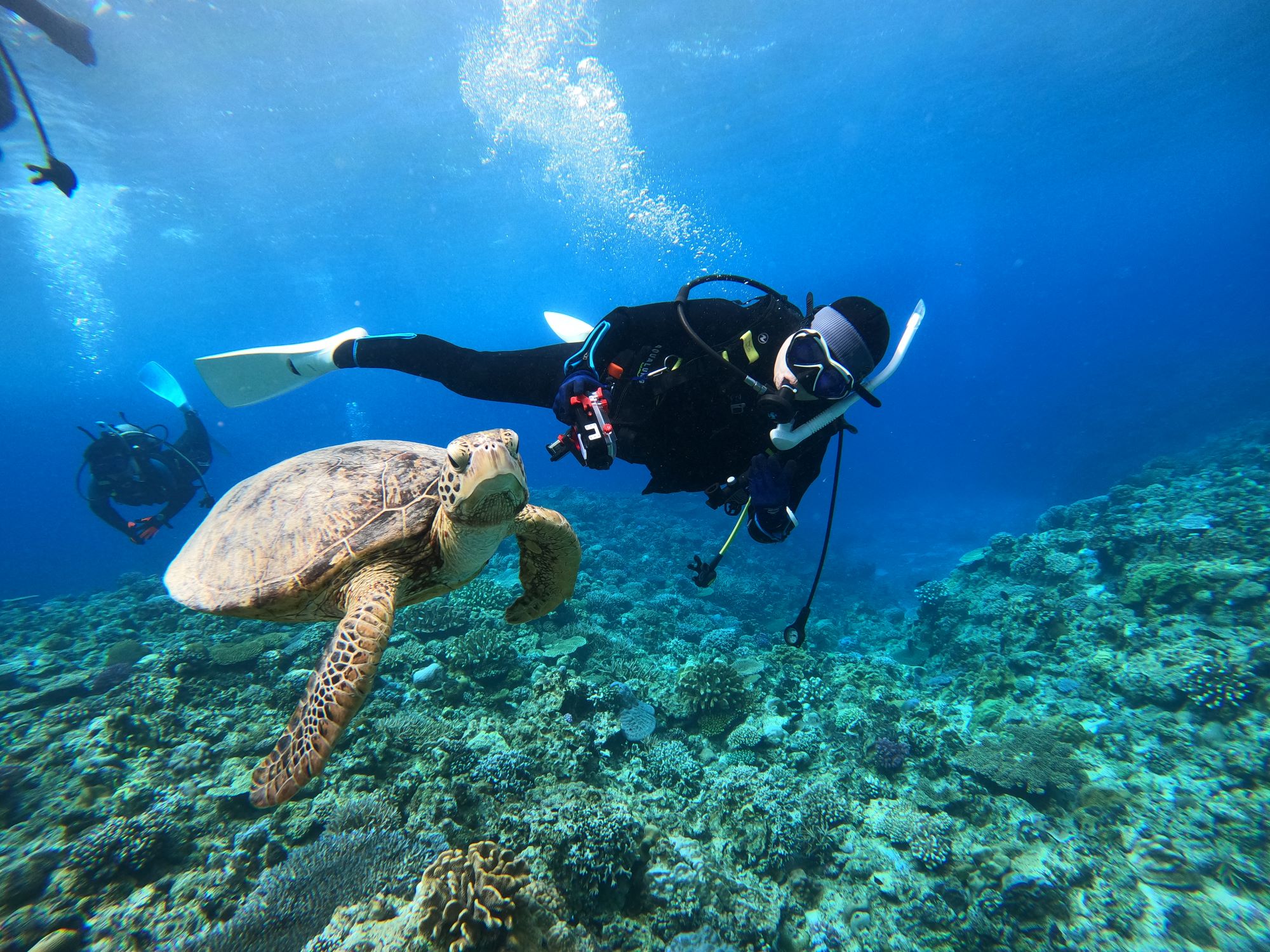 2025年9月21日ケラマ諸島ダイビングボートツアー