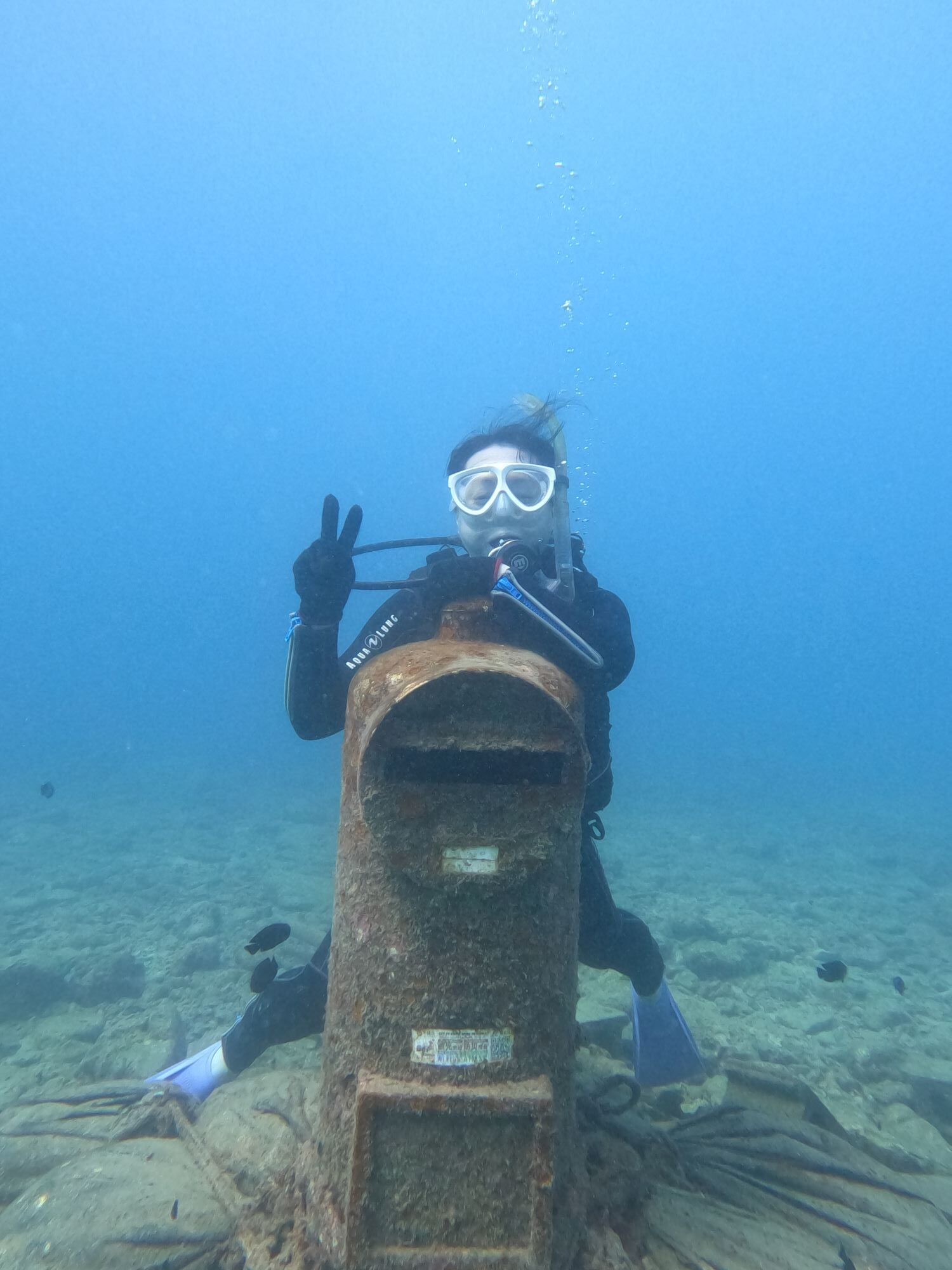 2025年9月23日沖縄本島ボートダイビング