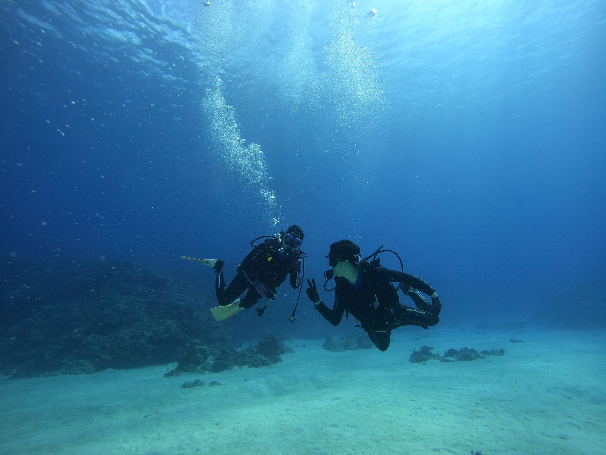 2025年9月25日ケラマ諸島ダイビングツアー
