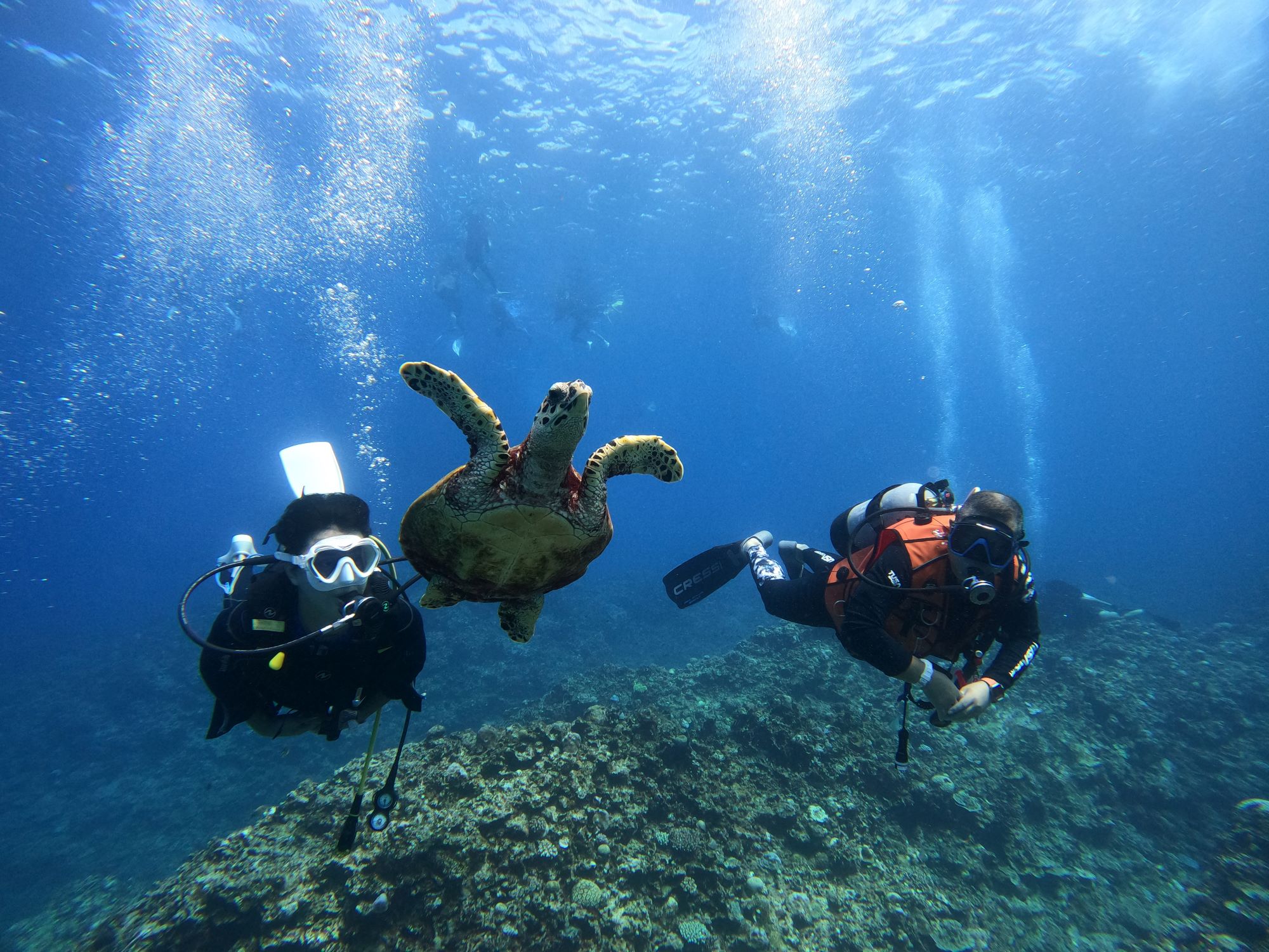 2025年9月27日ケラマ諸島ダイビング＆シュノーケリングツアー