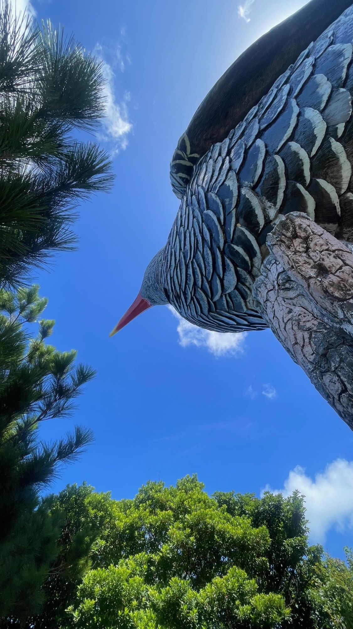 北部🚙ドライブ　やんばるくいな展望台
