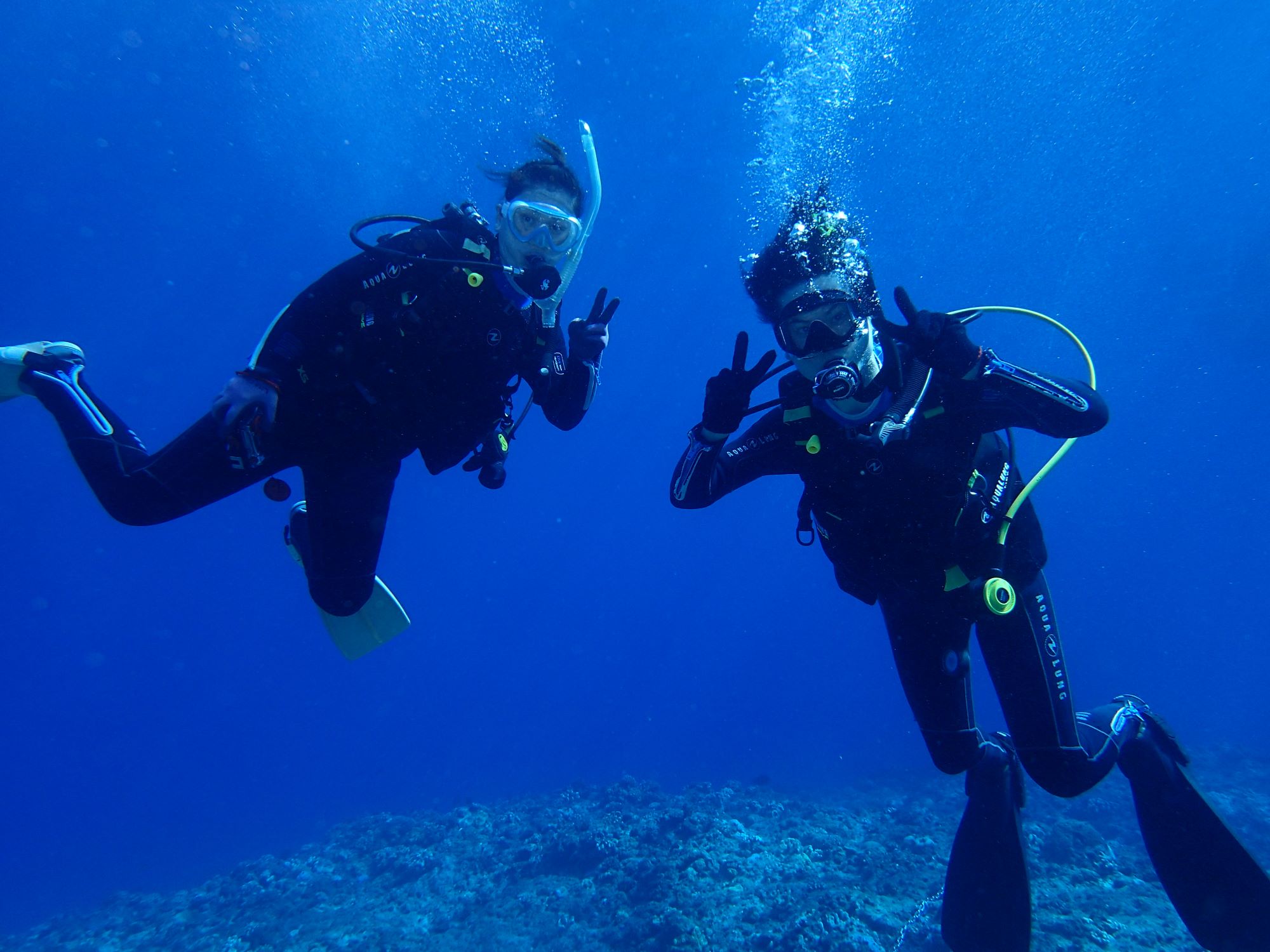 2025年9月29日ケラマ諸島ダイビングツアー