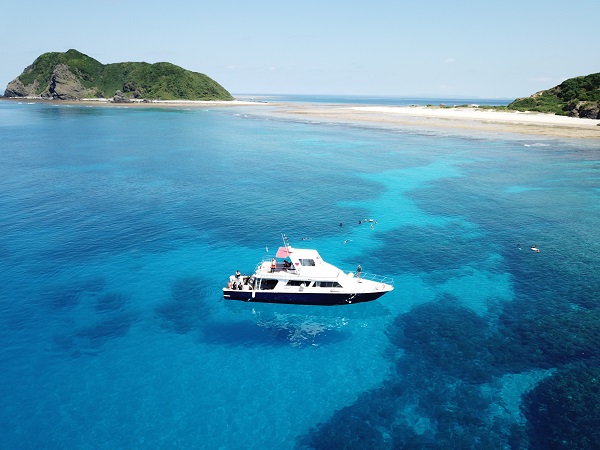 【2026年】沖縄の海開きシーズン到来！春のダイビングがおすすめな理由