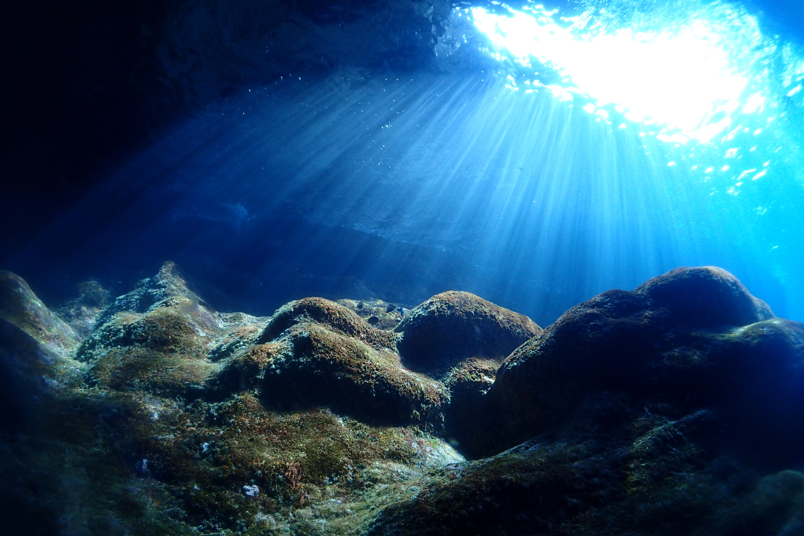 月日の流れが。。。