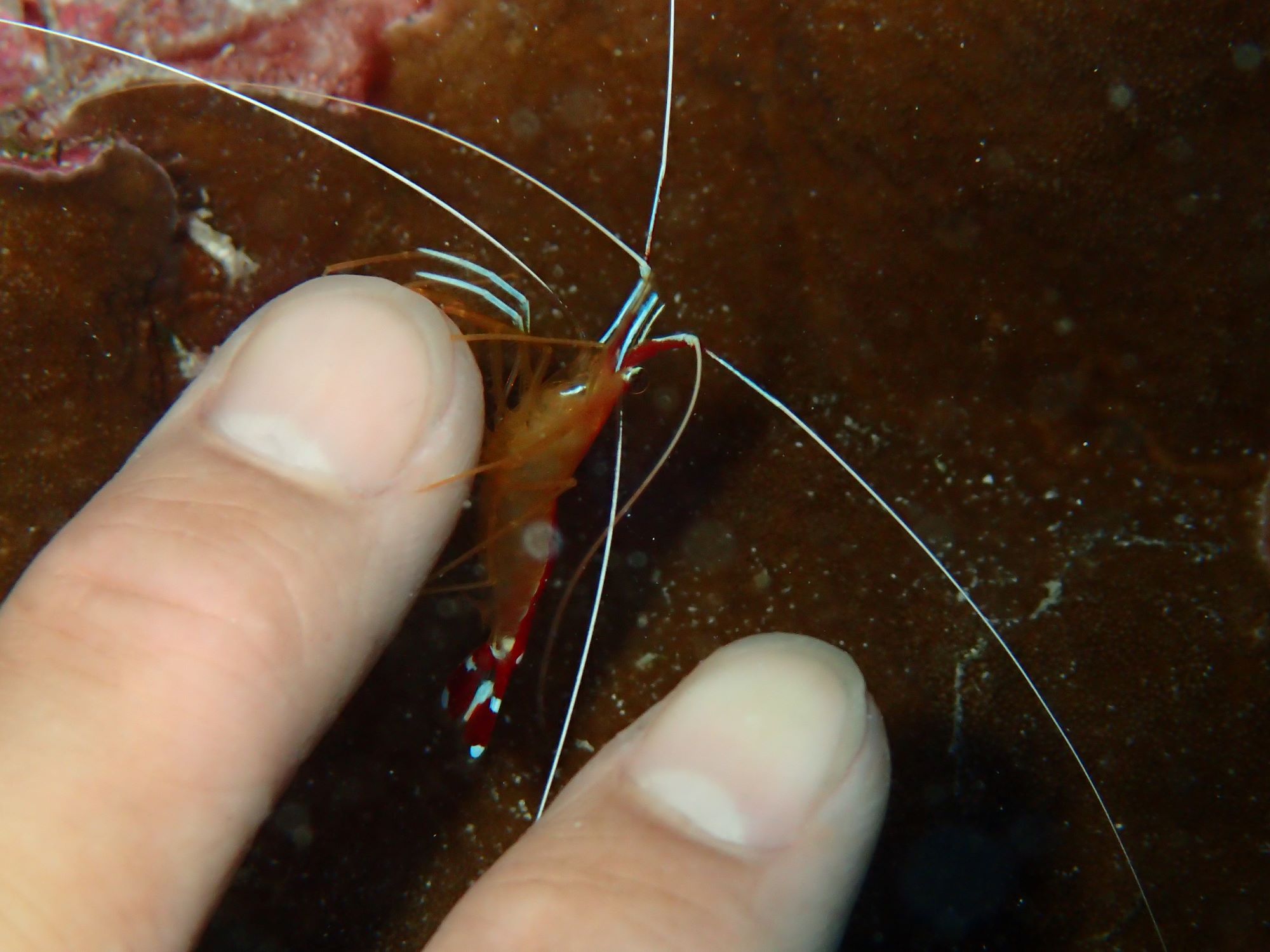 2025年10月22日　慶良間北風ポイントへ！