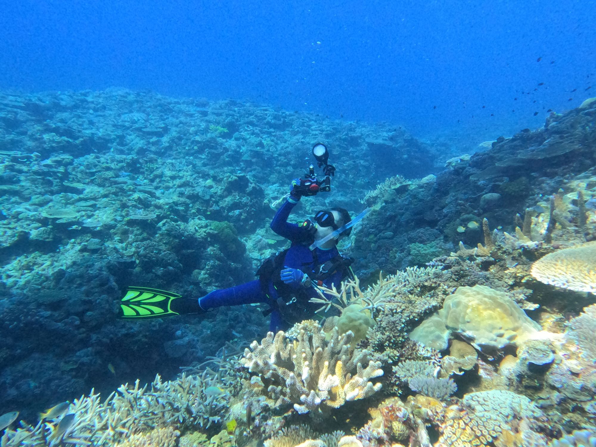 2025年10月2日ケラマ諸島ファンダイビングツアー