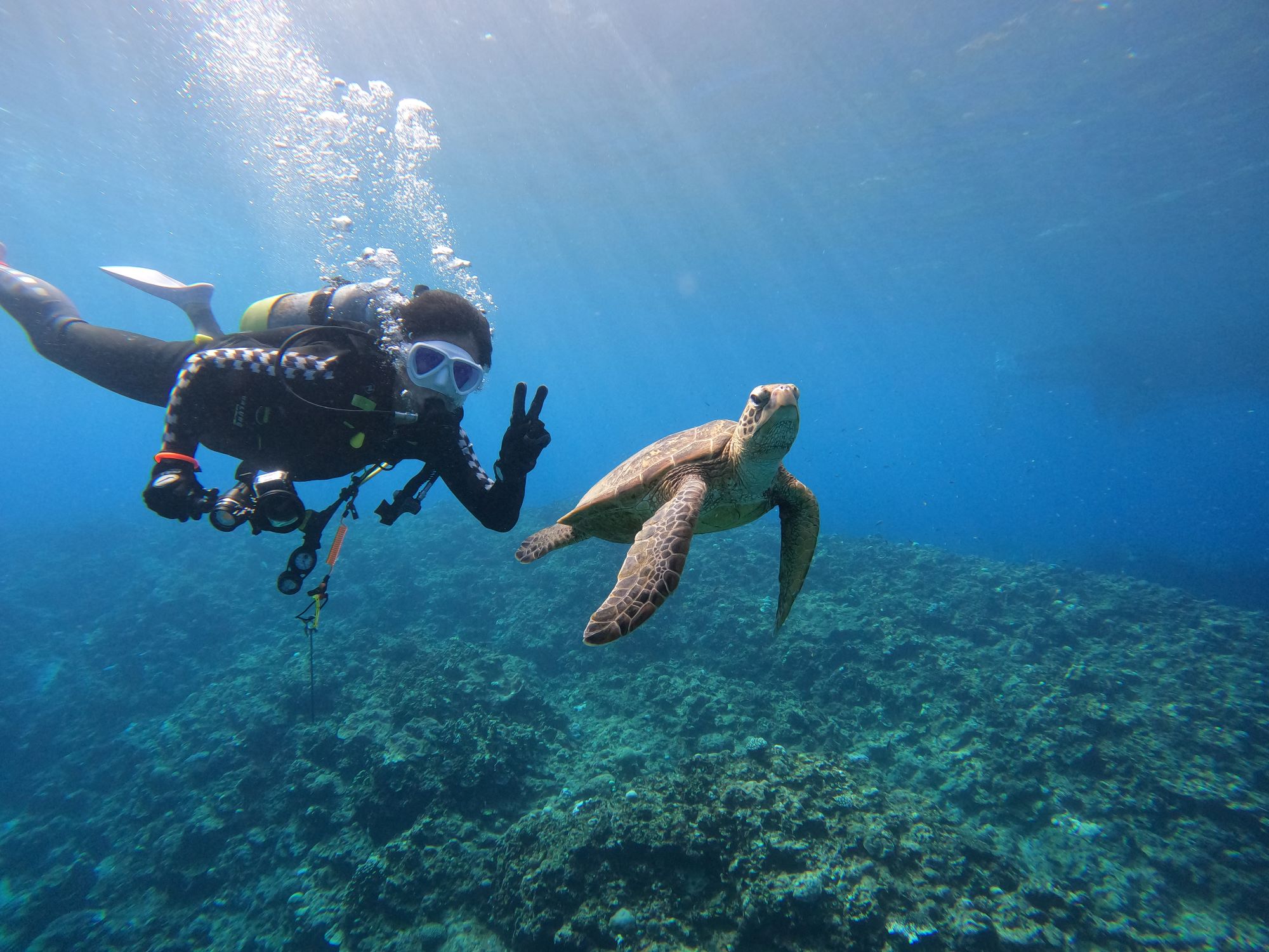 2025年10月5日ケラマ諸島日帰りダイビングツアー