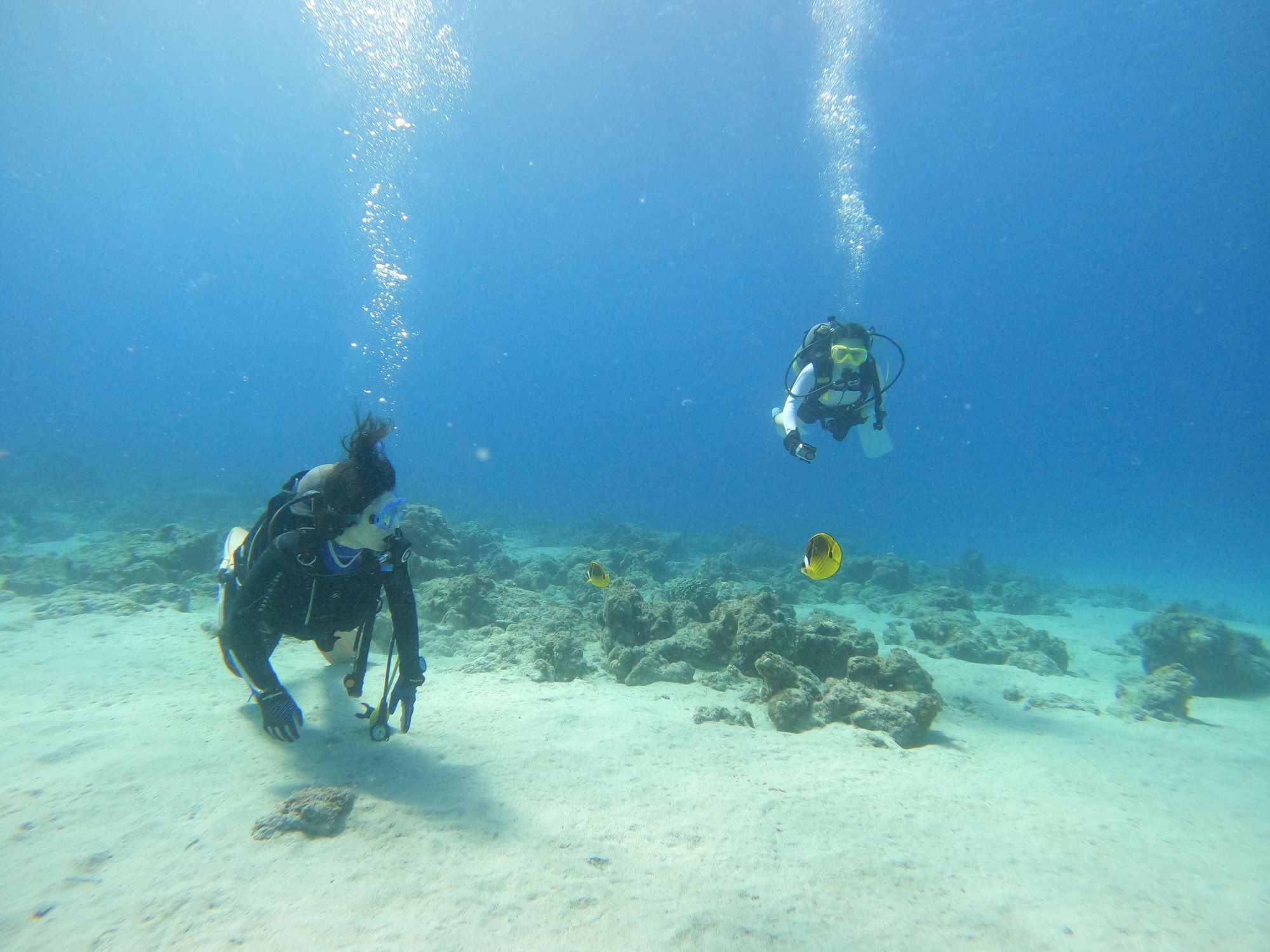 2025年10月6日ケラマ諸島ダイビングツアー