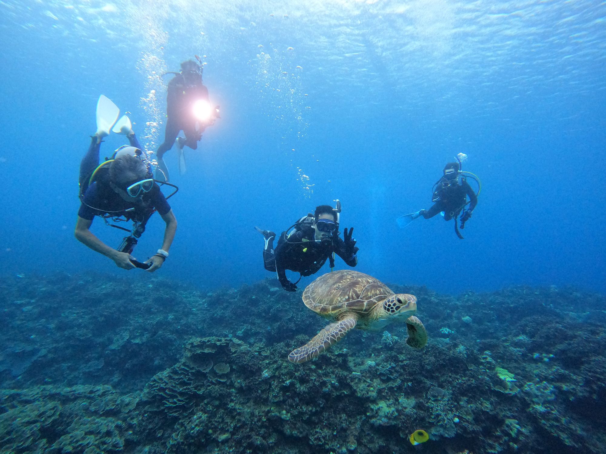 2025年10月19日ケラマ諸島日帰りダイビング
