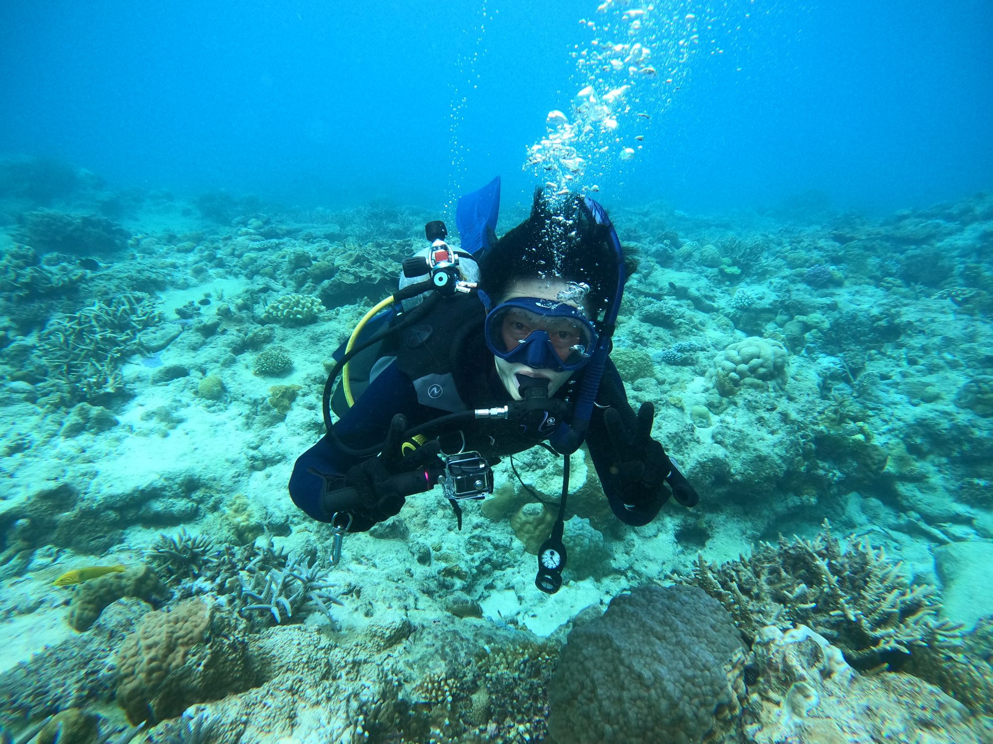 2025年10月23日チービシ諸島ボートダイビング