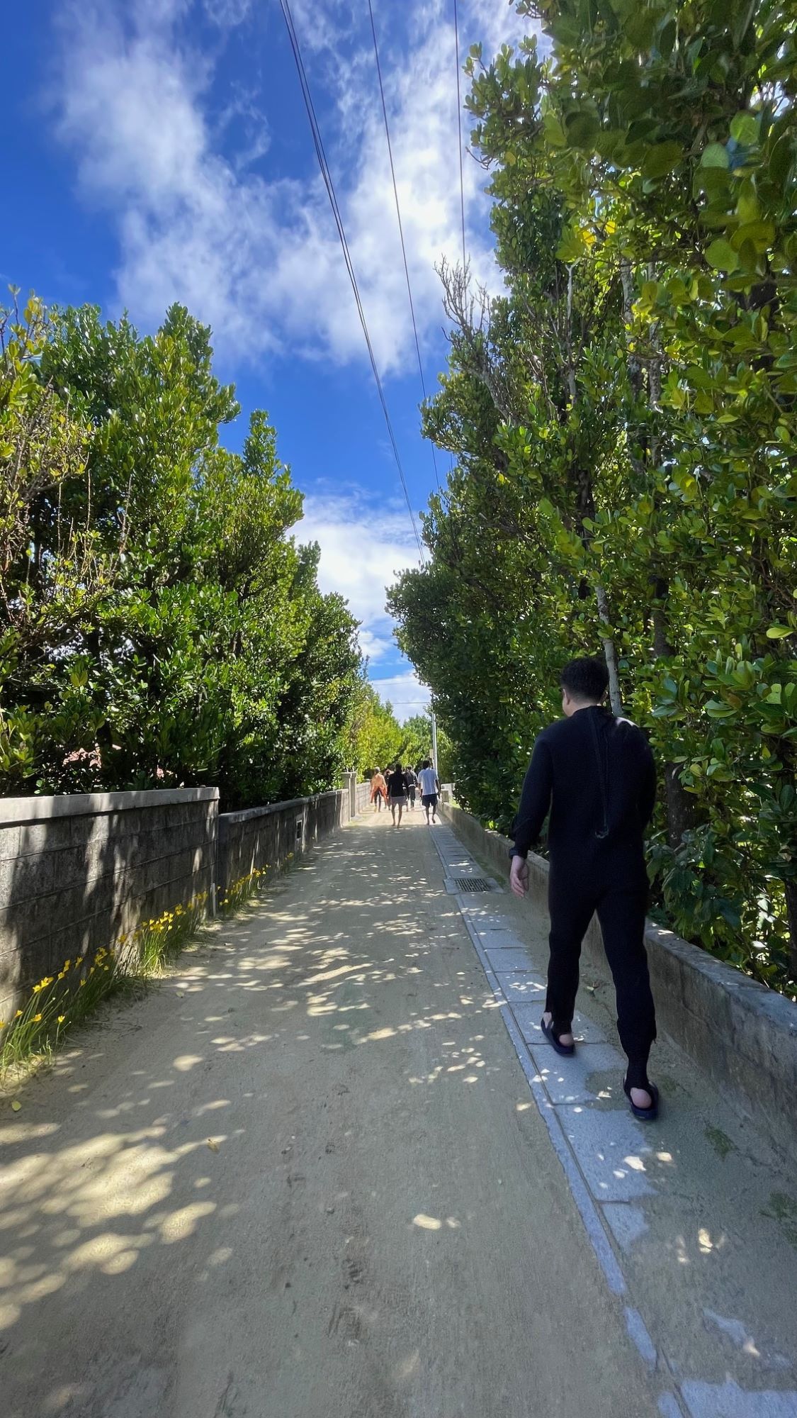 渡名喜島🏝陸編