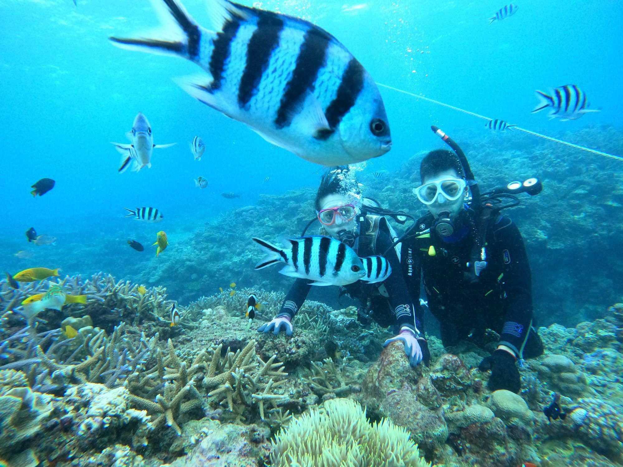 2025年10月29日チービシ諸島ダイビングツアー