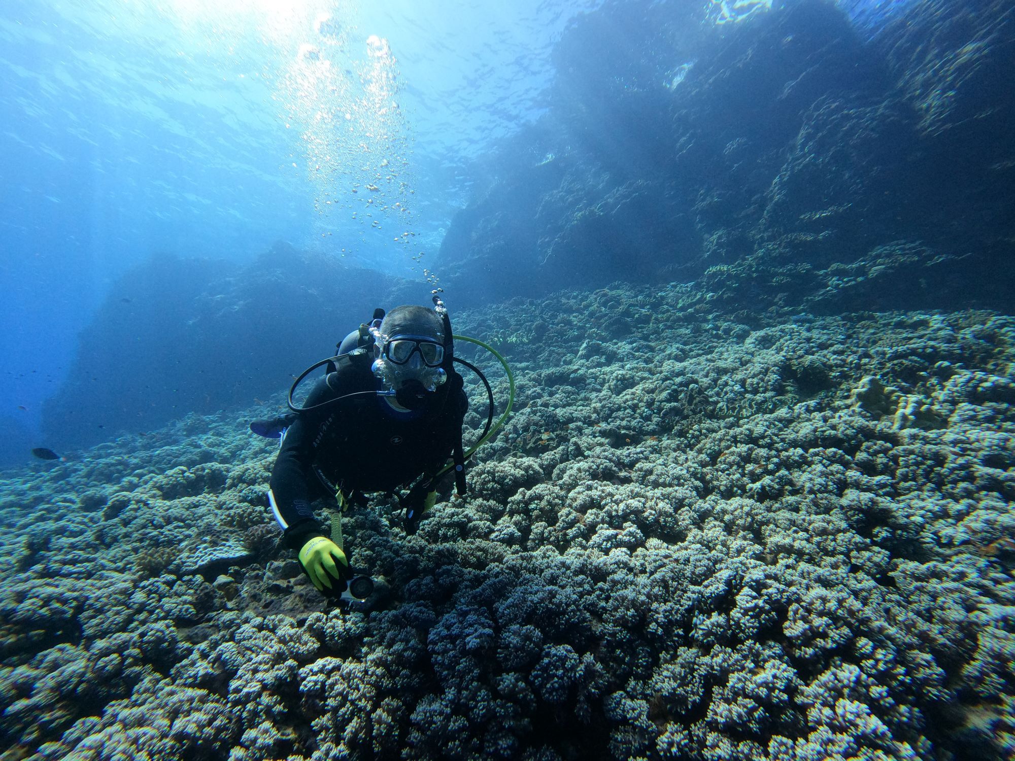 2025年10月3日ケラマ諸島ダイビングツアー