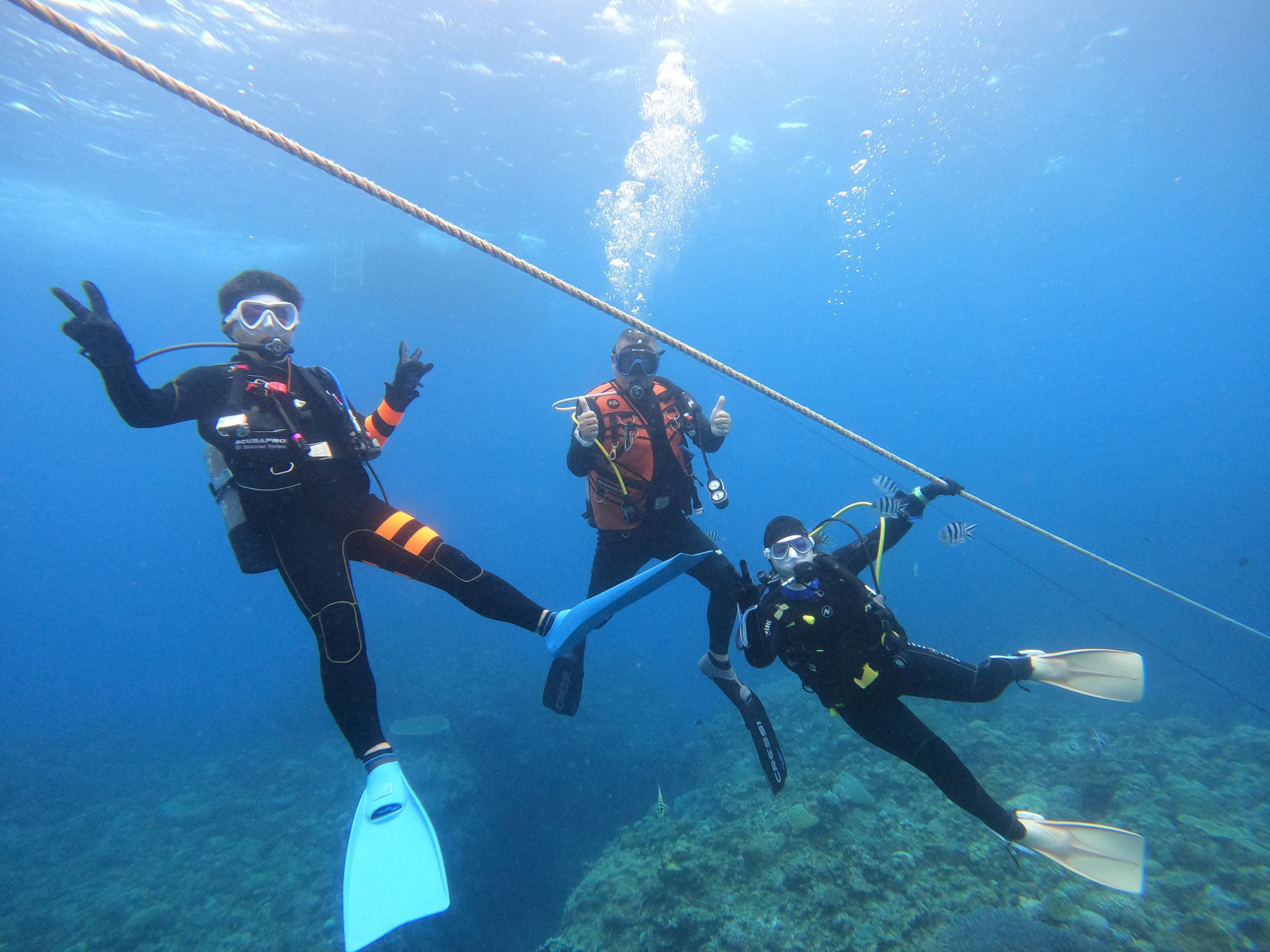 2025年10月31日チービシ諸島ダイビングツアー