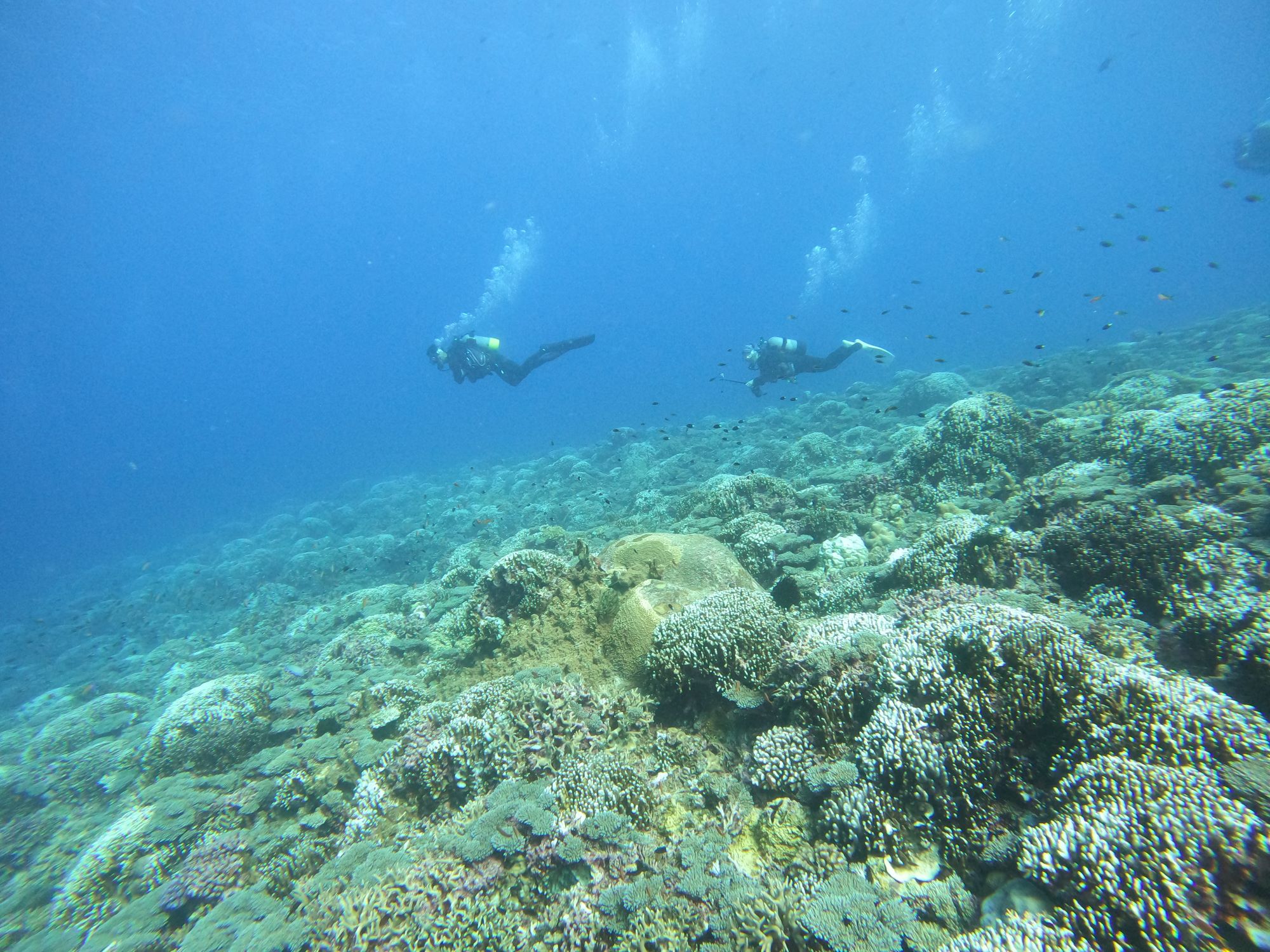 2025年11月8日　渡名喜島→ケラマへ！