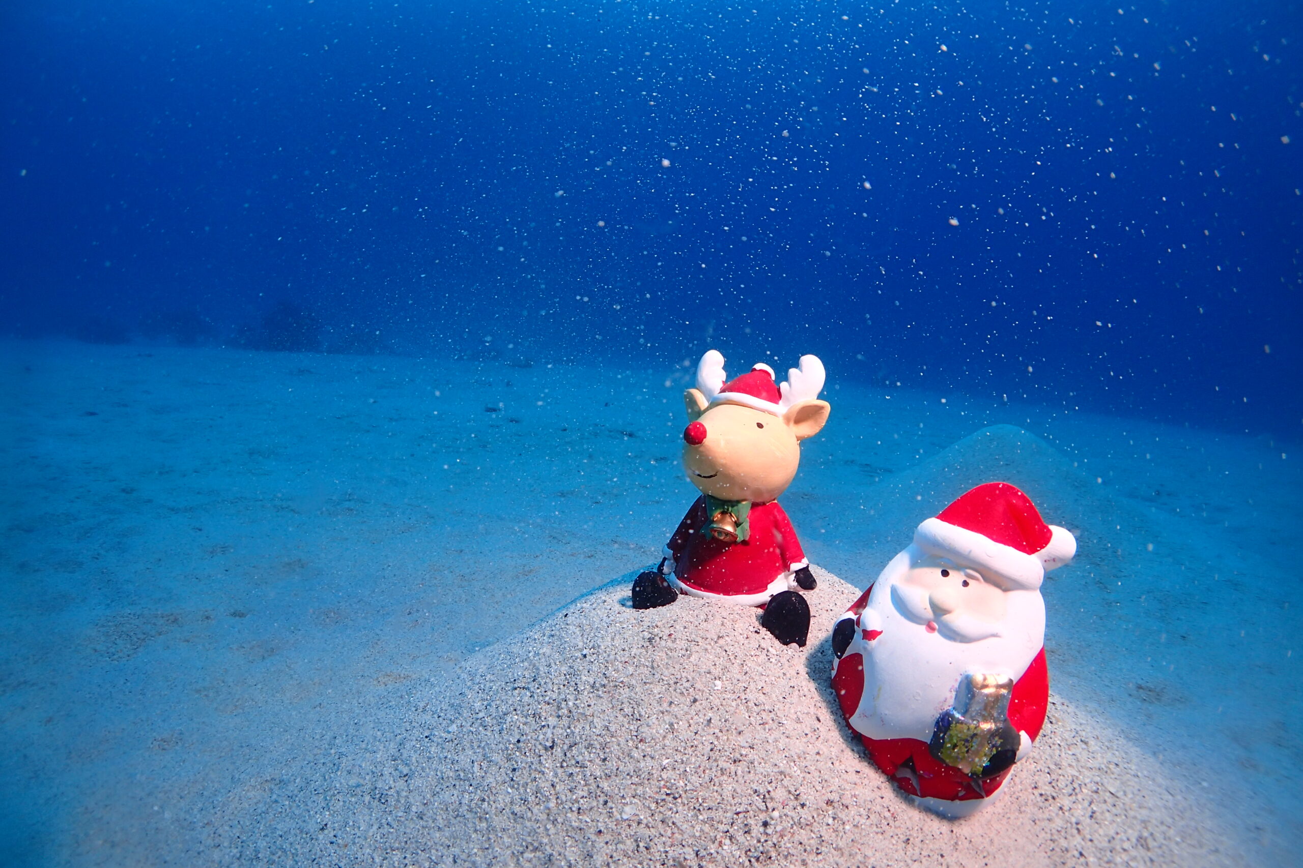 2025～2026冬休み