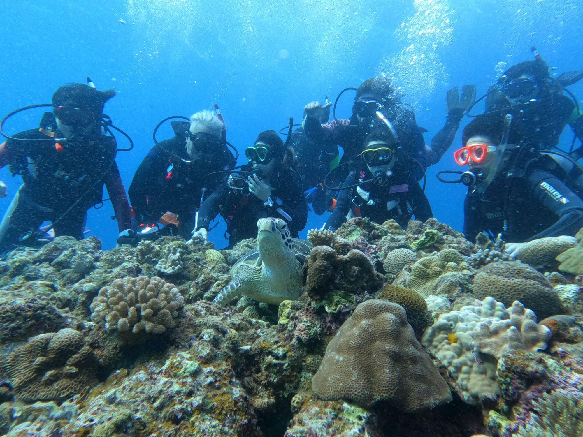 2025年11月1日チービシ諸島ダイビングツアー