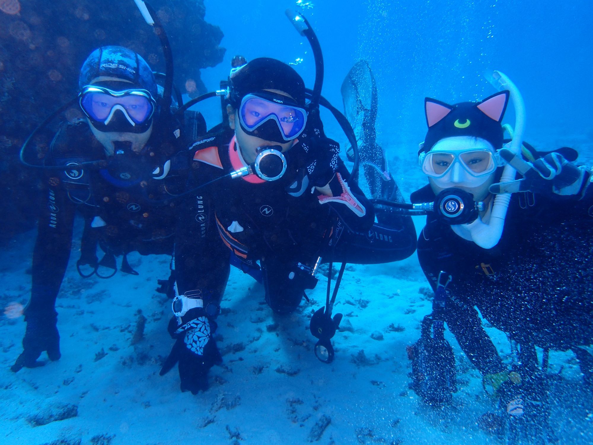 2025年11月2日ケラマ諸島ダイビングツアー