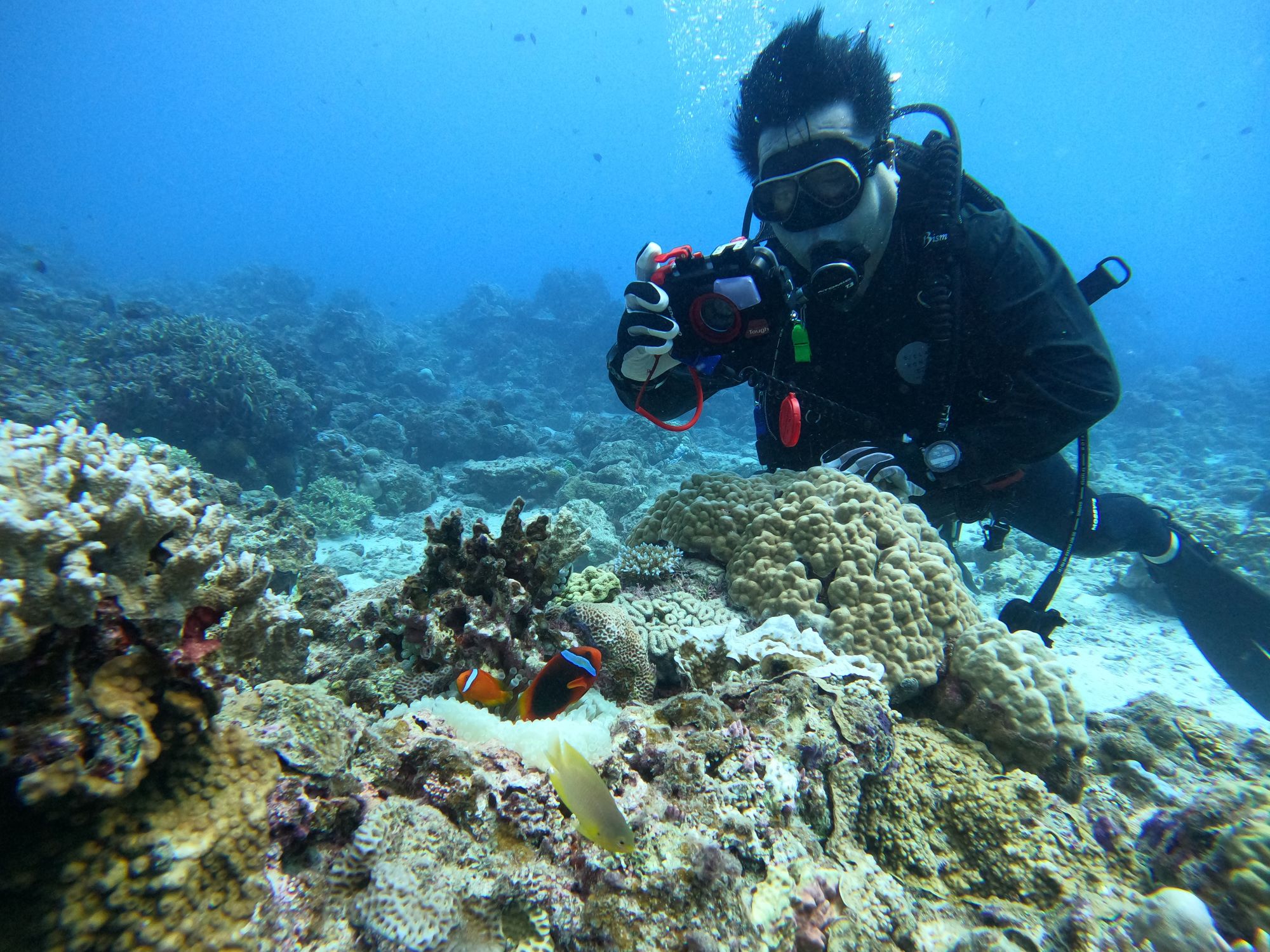 2025年11月4日ケラマ諸島ダイビングツアー