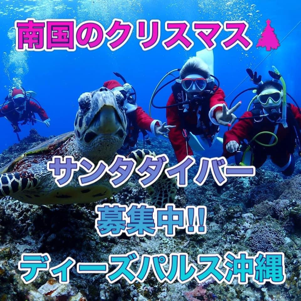クリスマスダイビング🎅