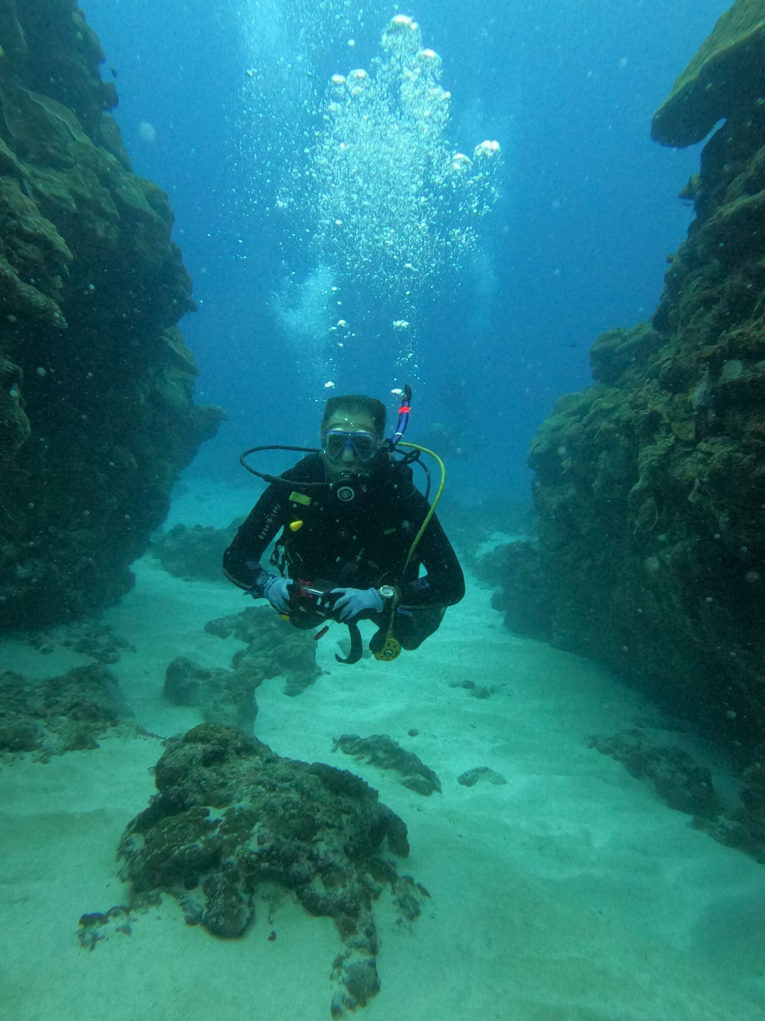 2025年11月15日チービシ諸島ダイビング