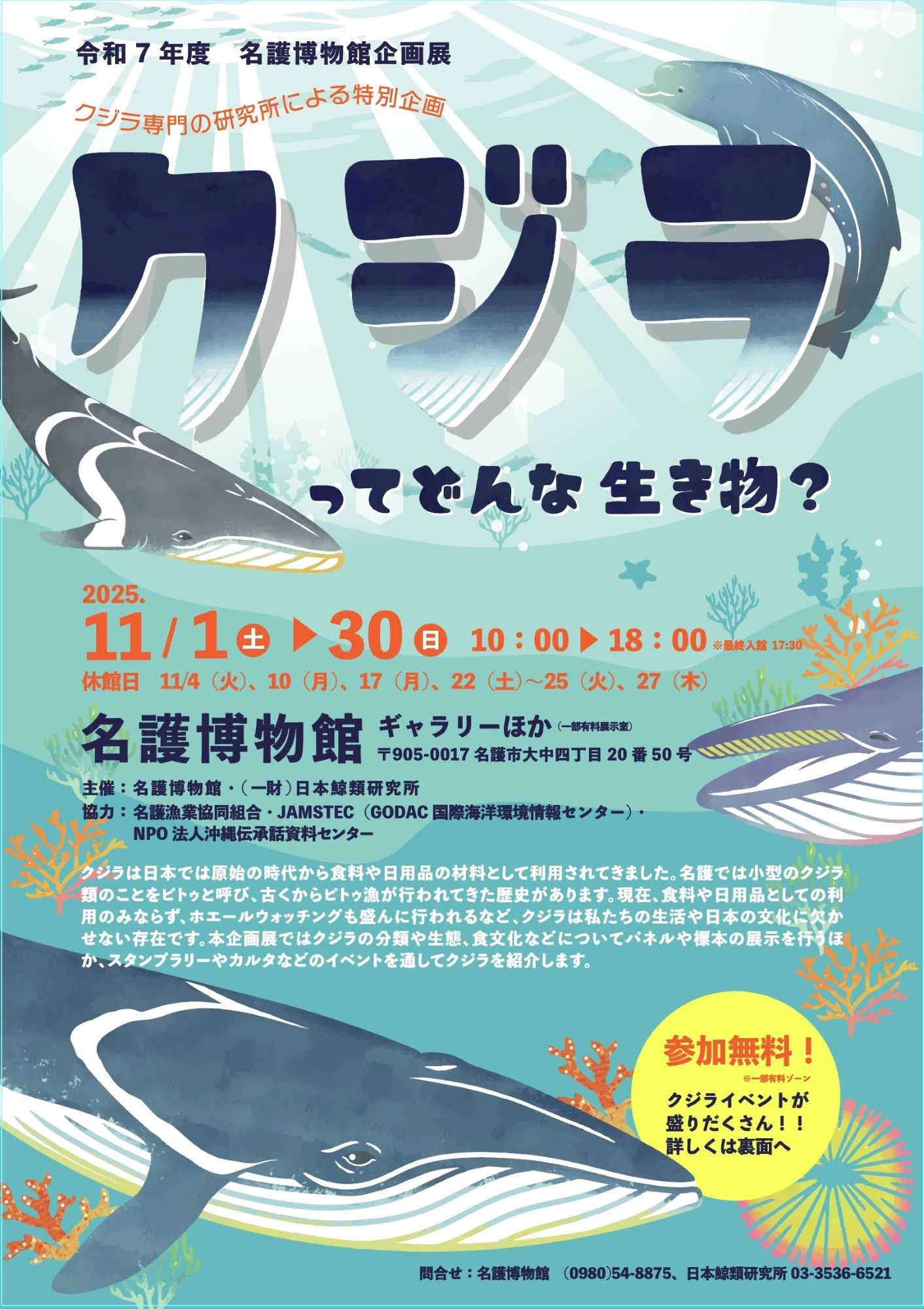 名護博物館企画展　「クジラ専門の研究所による特別企画　クジラってどんな生き物？」🐳