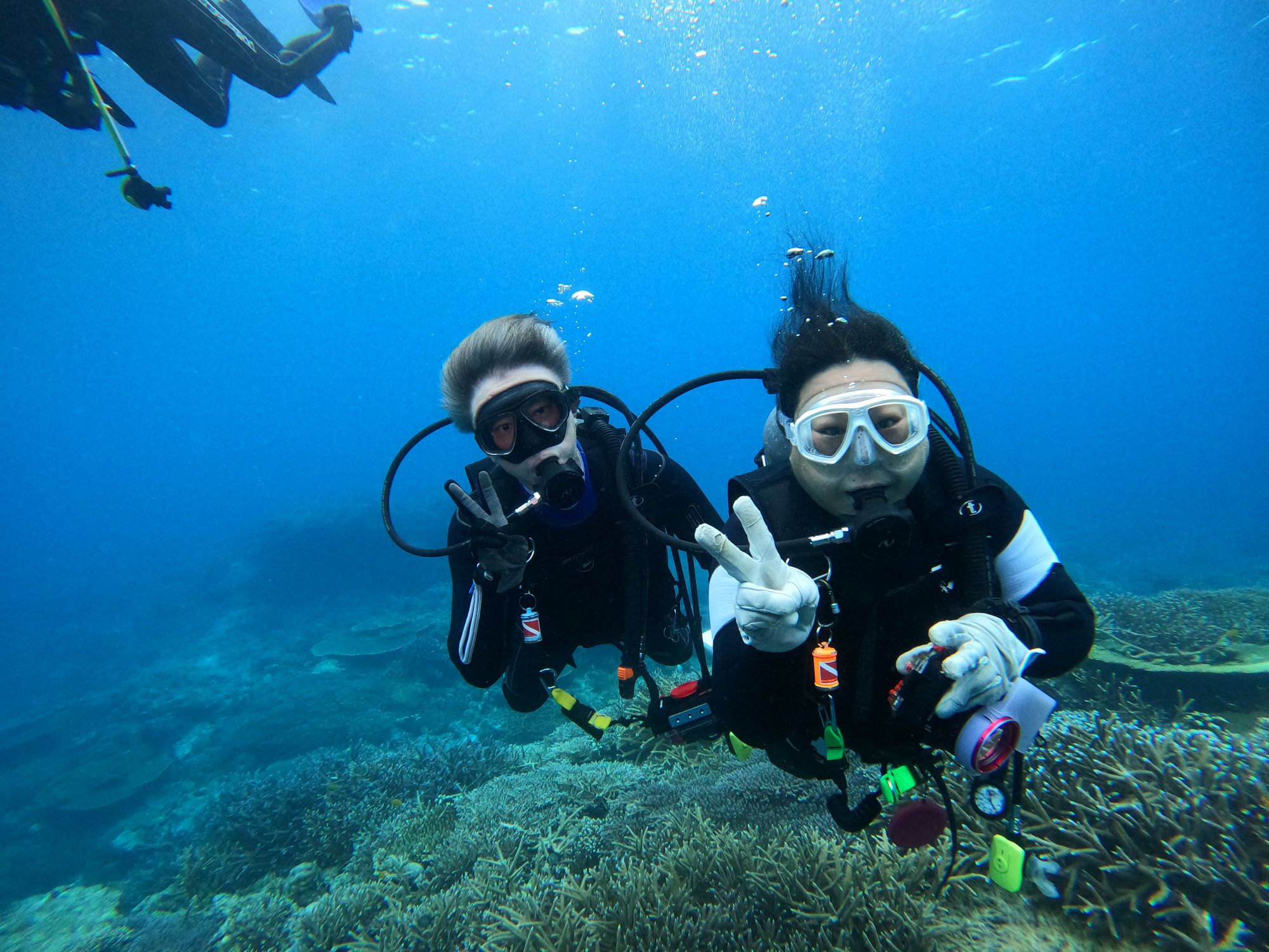 2025年11月17日慶良間諸島ダイビングツアー