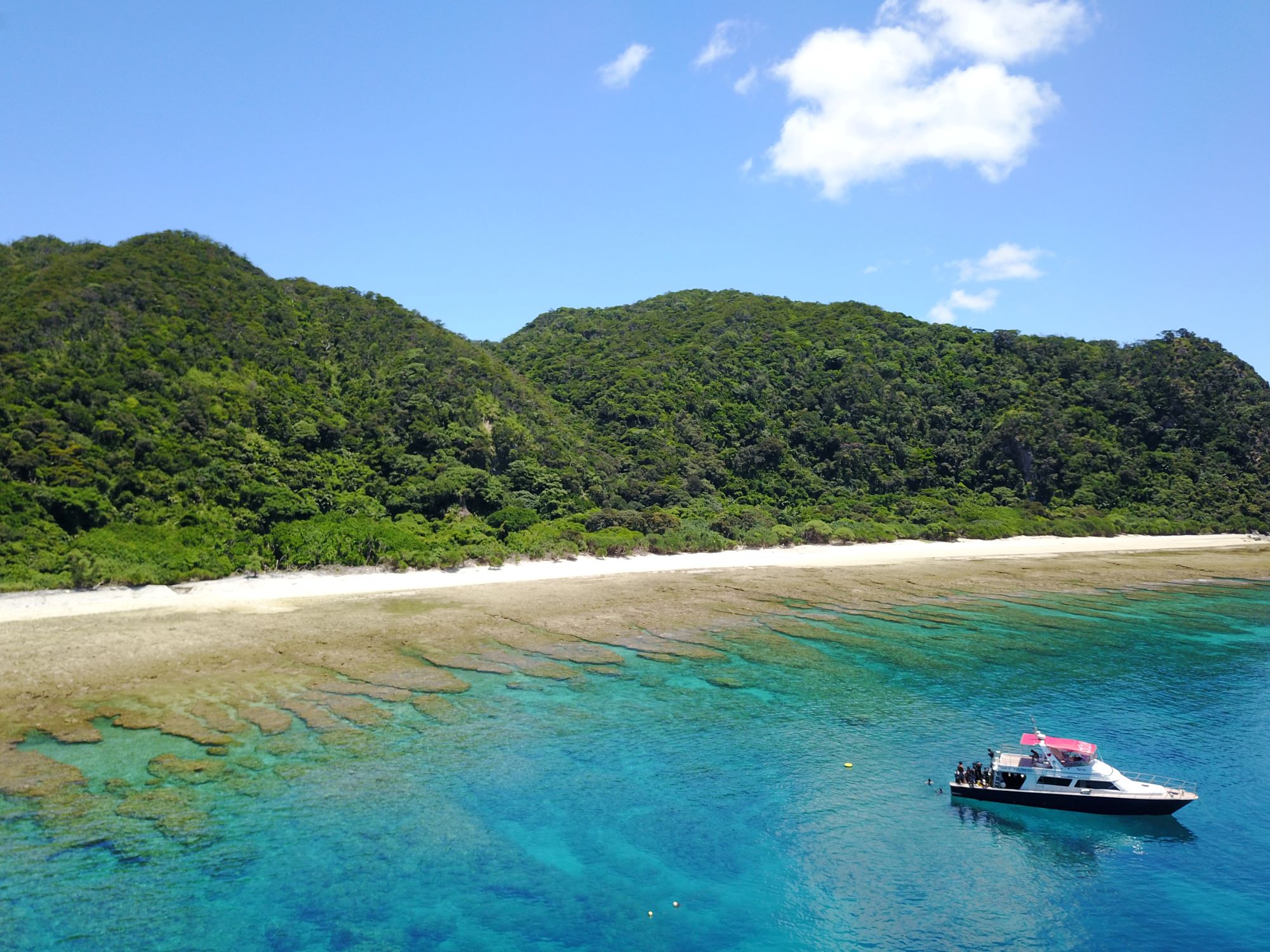 2025年11月23日ボートチャーター