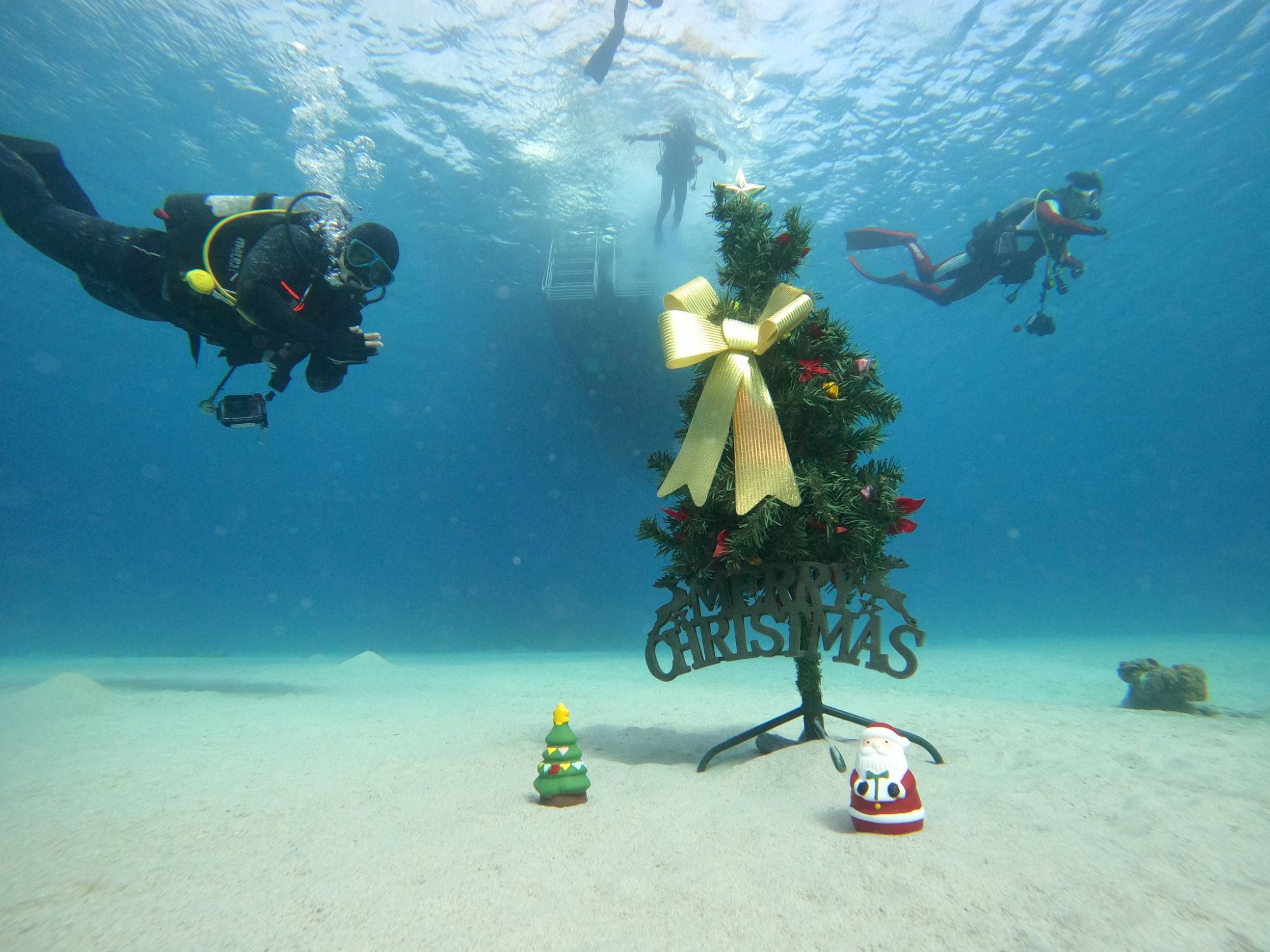 クリスマスダイブ🎅年末年始ダイブ