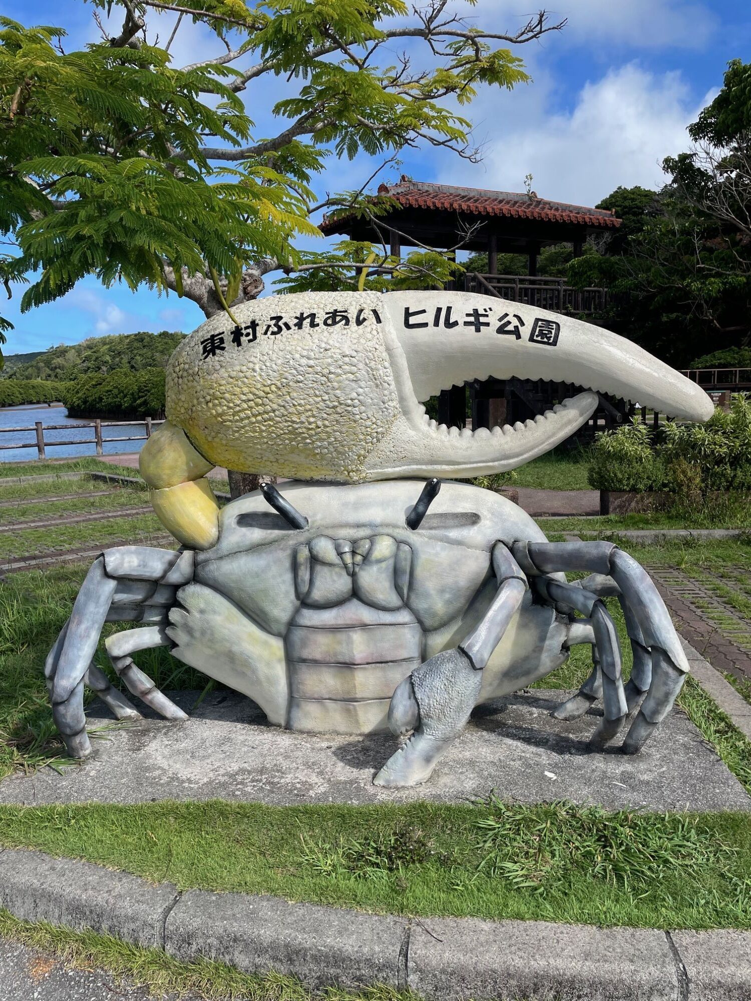 東村ふれあい　ヒルギ公園　やんばる