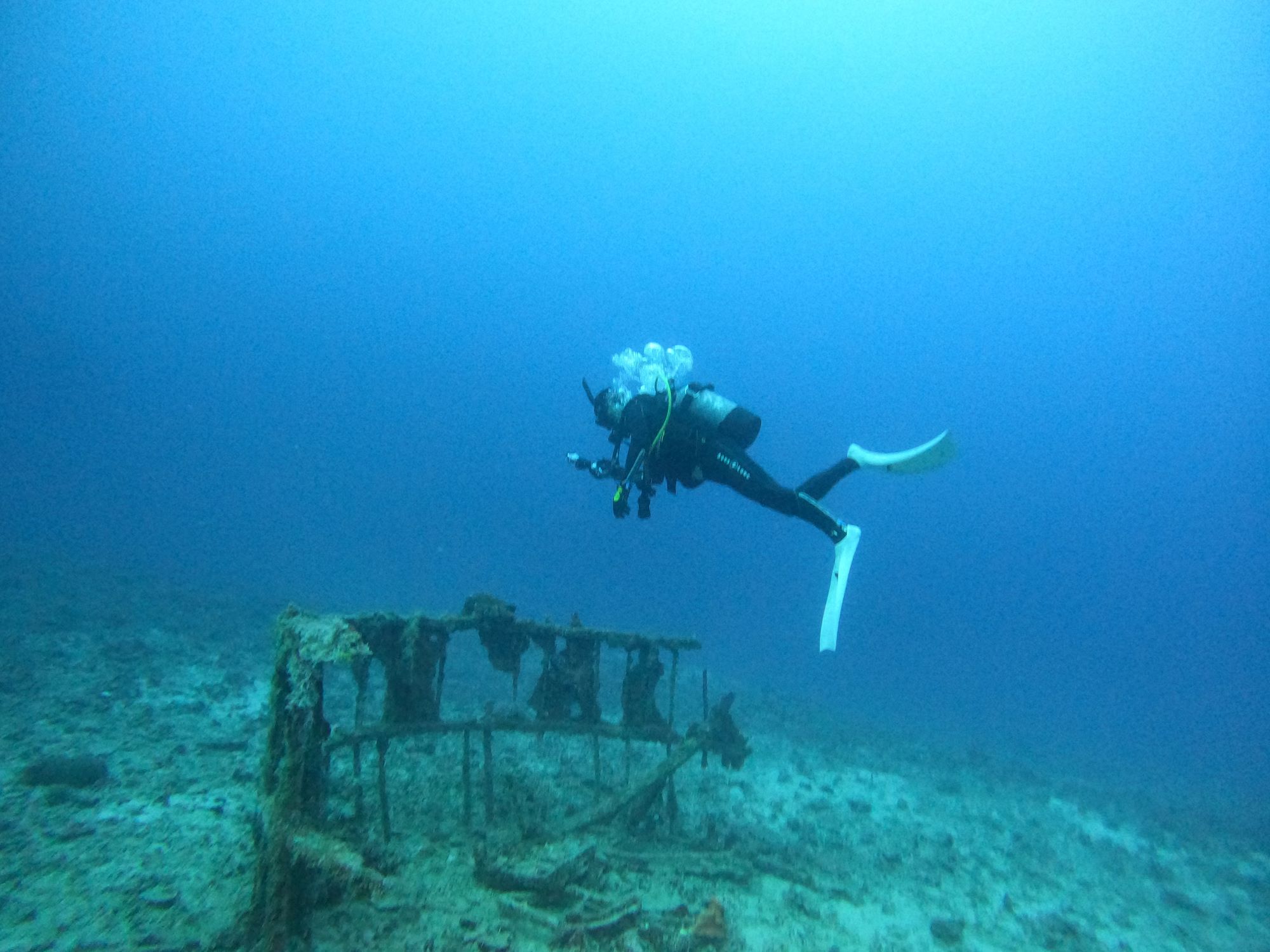 2025年11月29日ケラマ諸島日帰りダイビングツアー