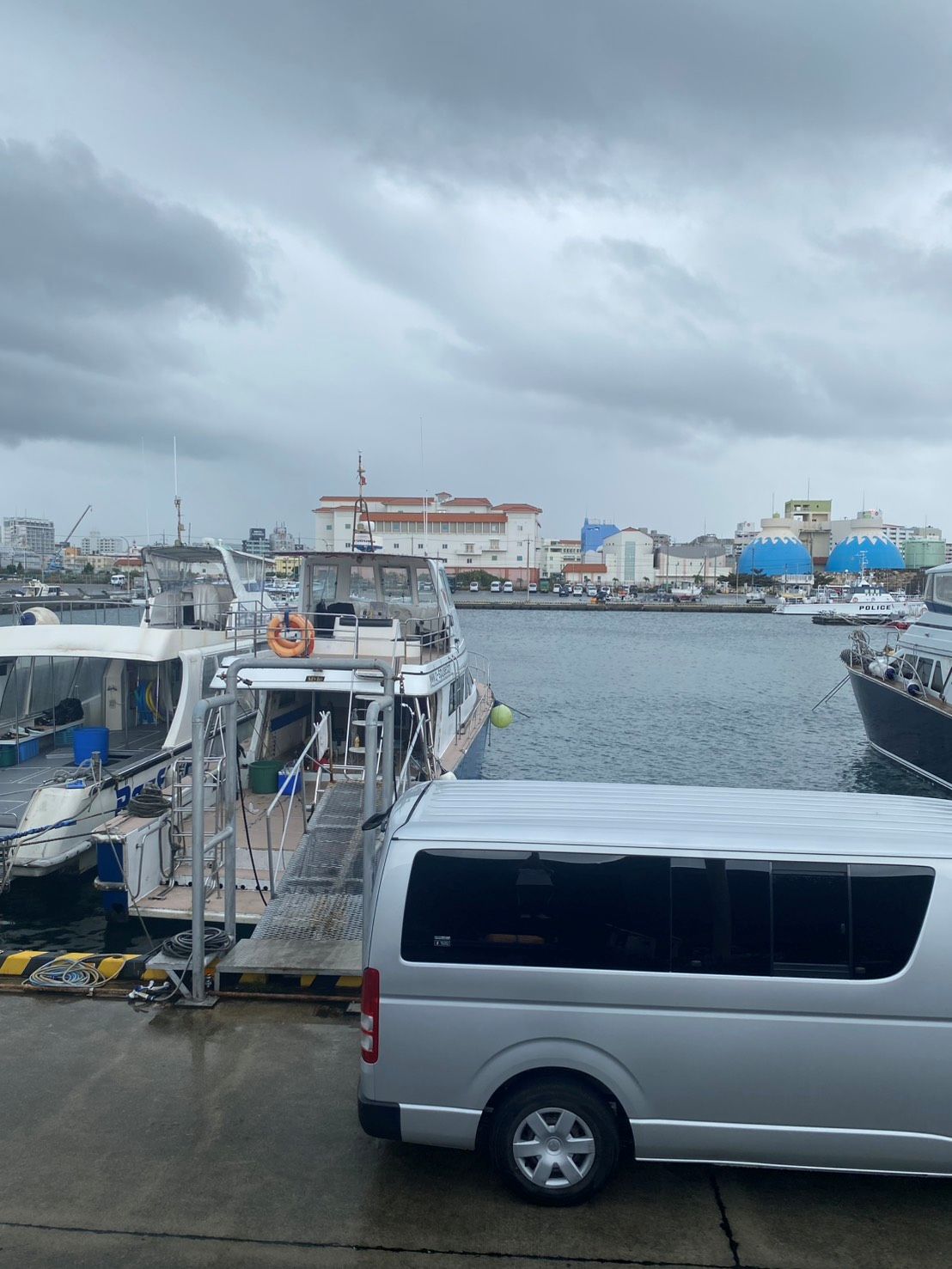 12月11日　海メニューはお休みです💤