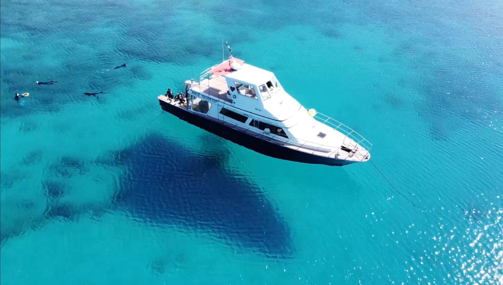 ダイビングで叶える、究極のデジタルデトックス✨