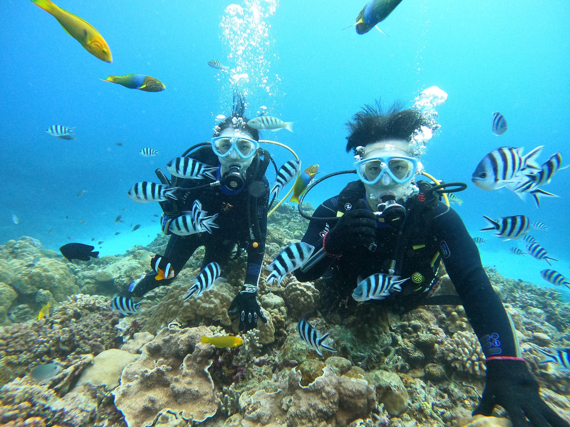 2025年12月2日　PMボートダイビング！