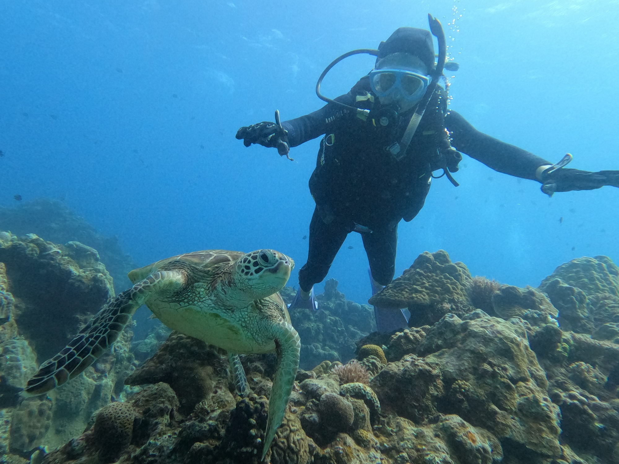 2025年12月3日　チービシどんぶらこ