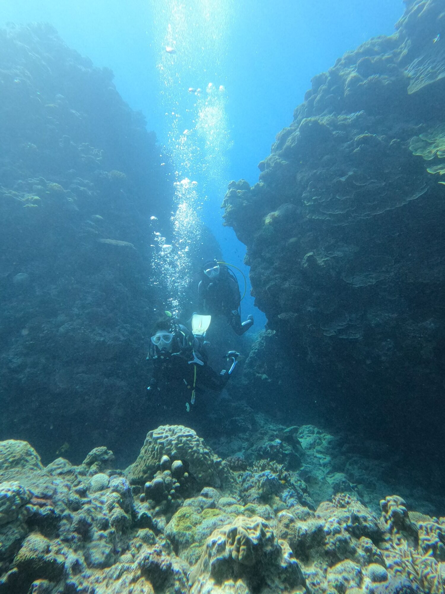 2025年12月13日　お天気💯慶良間へ！