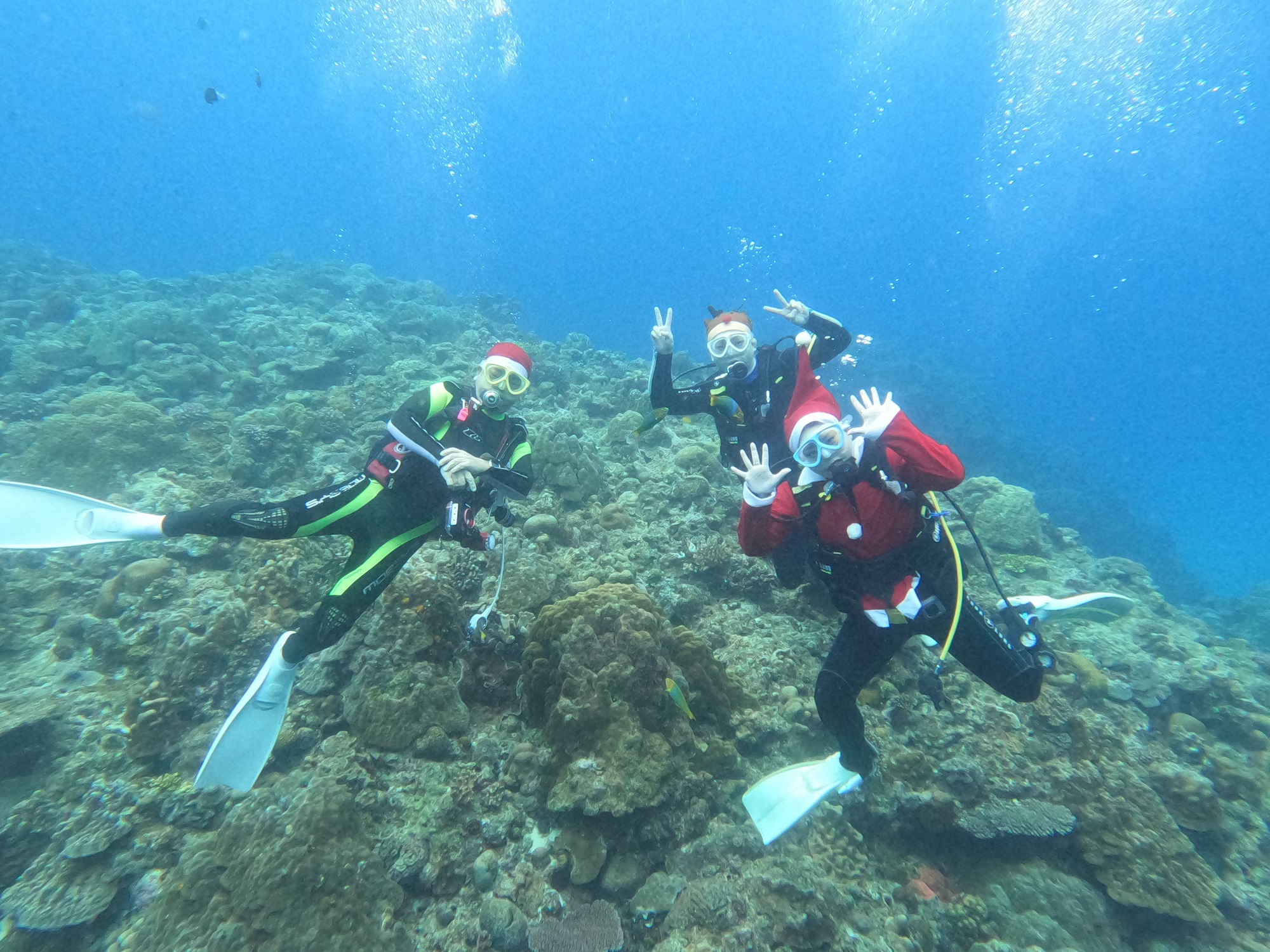 2025年12月25日　クリスマスダイブ