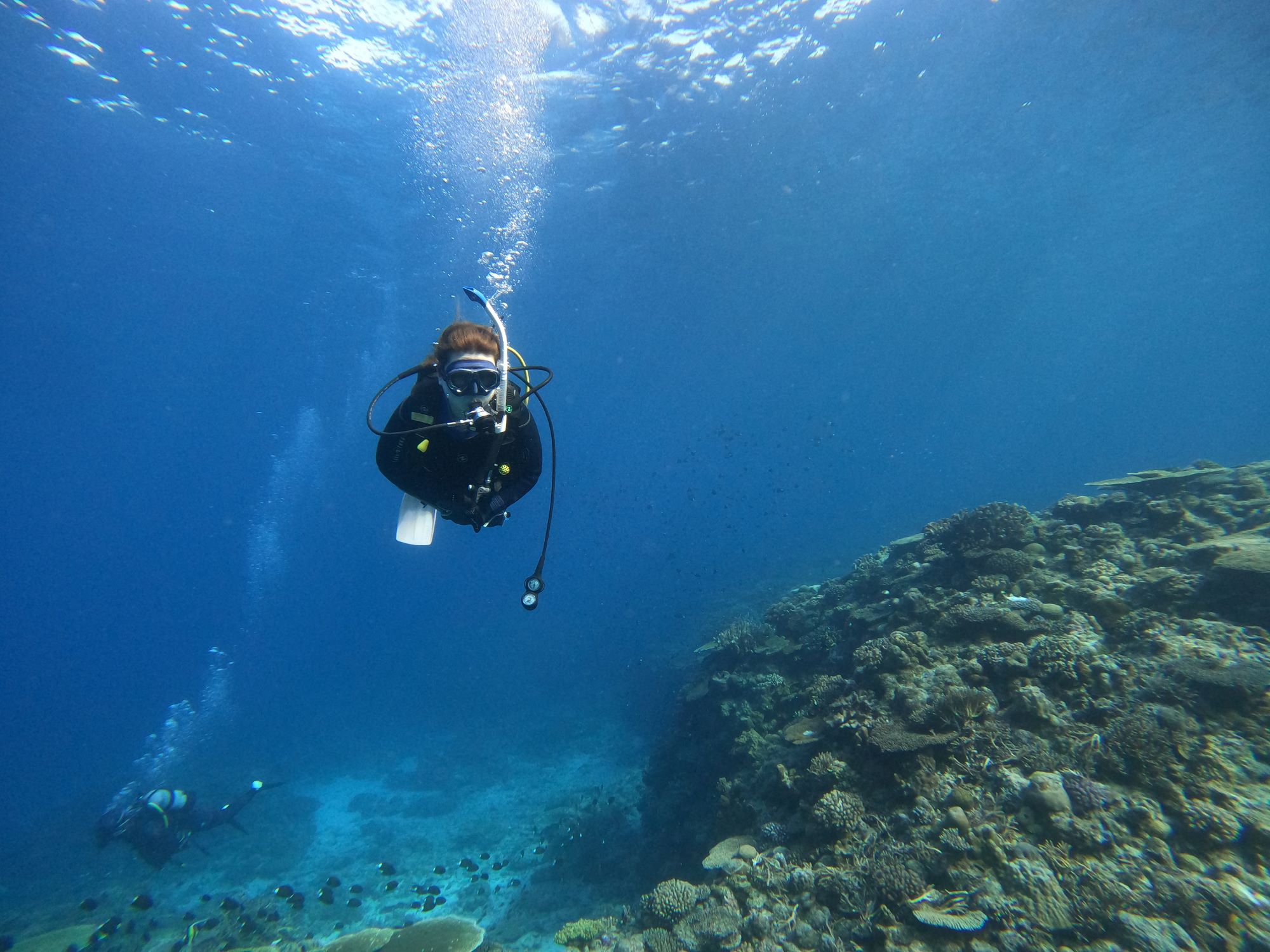 2025年12月6日　慶良間1日コース＆午後チービシ諸島コース