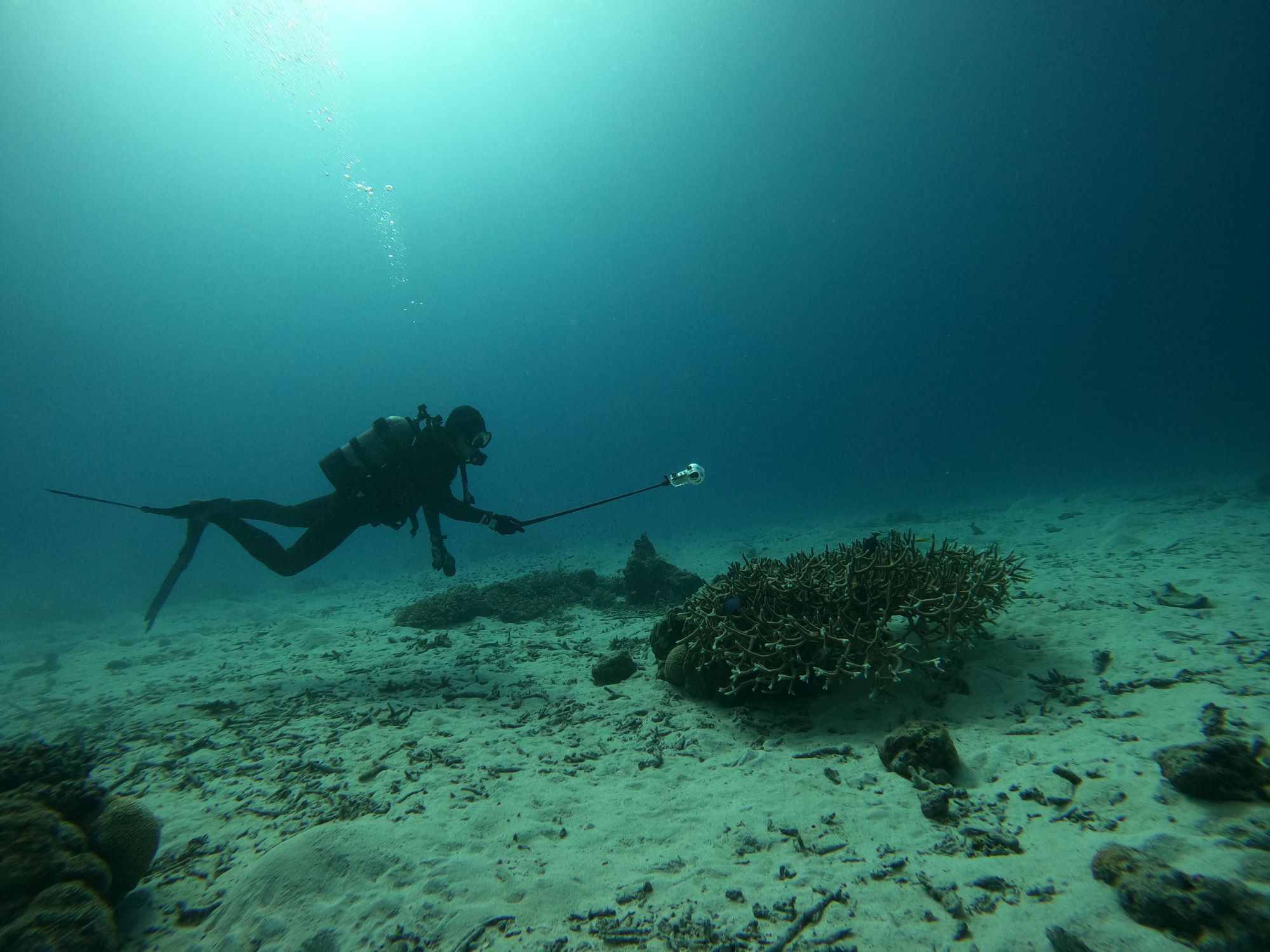 2025年12月18日　慶良間でのんびりダイビング