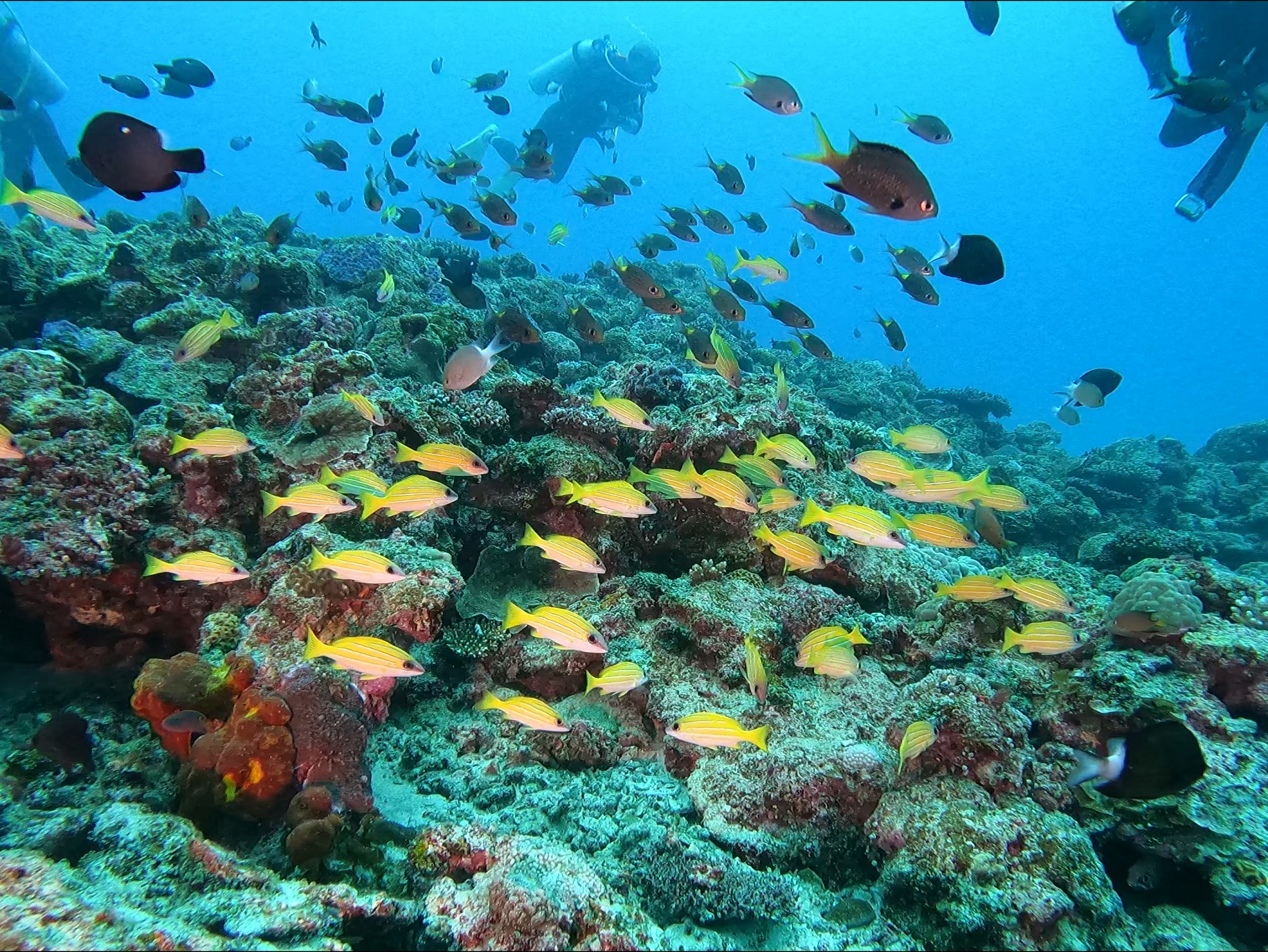 2025年12月23日　のんびりとマンツーマン