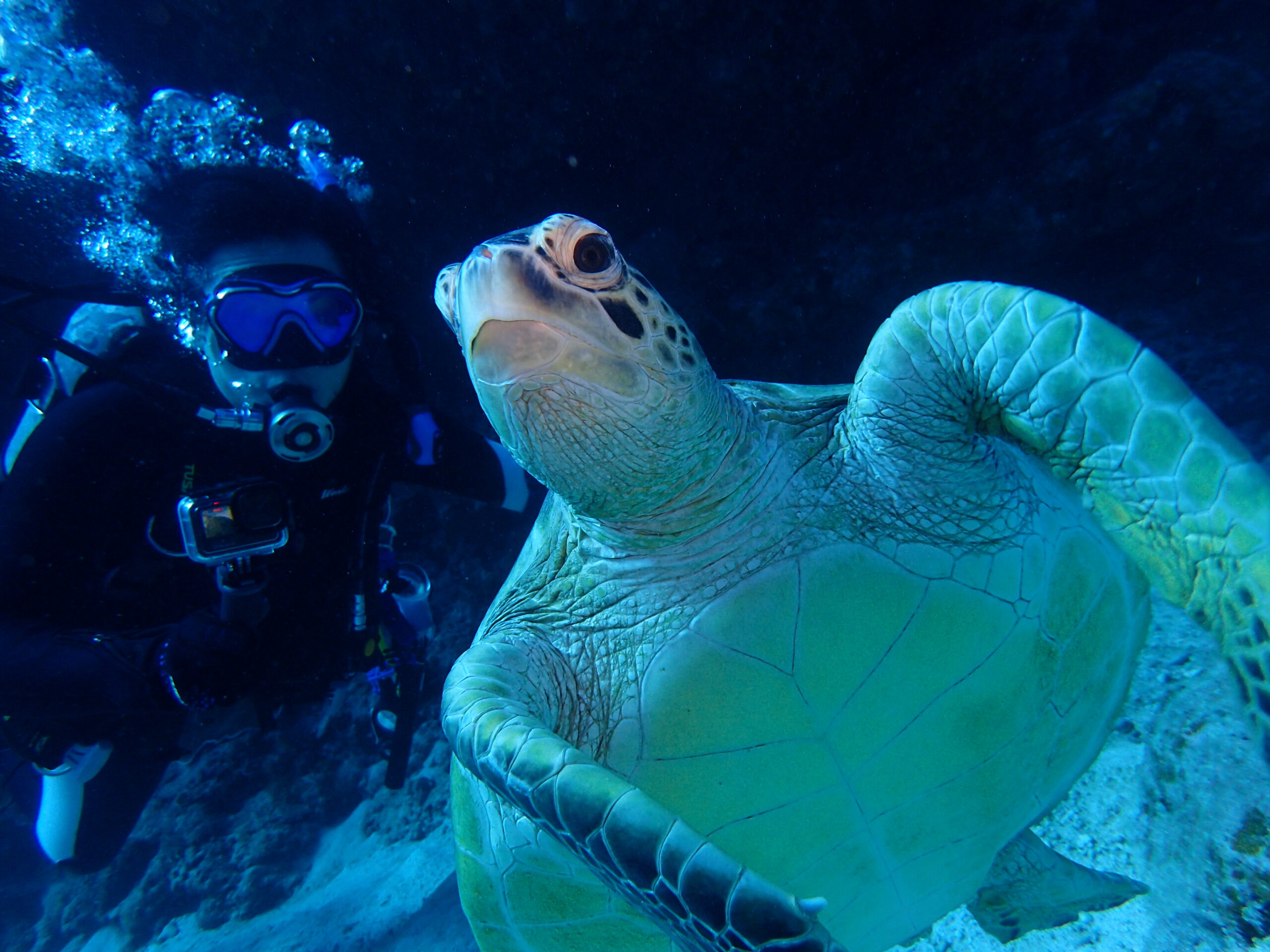 2025年12月9日　チービシでまったり